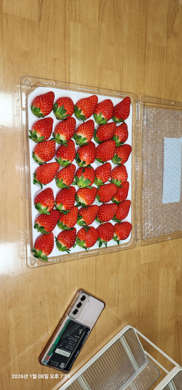 연곡 페이머스파머스 딸기 800g-1