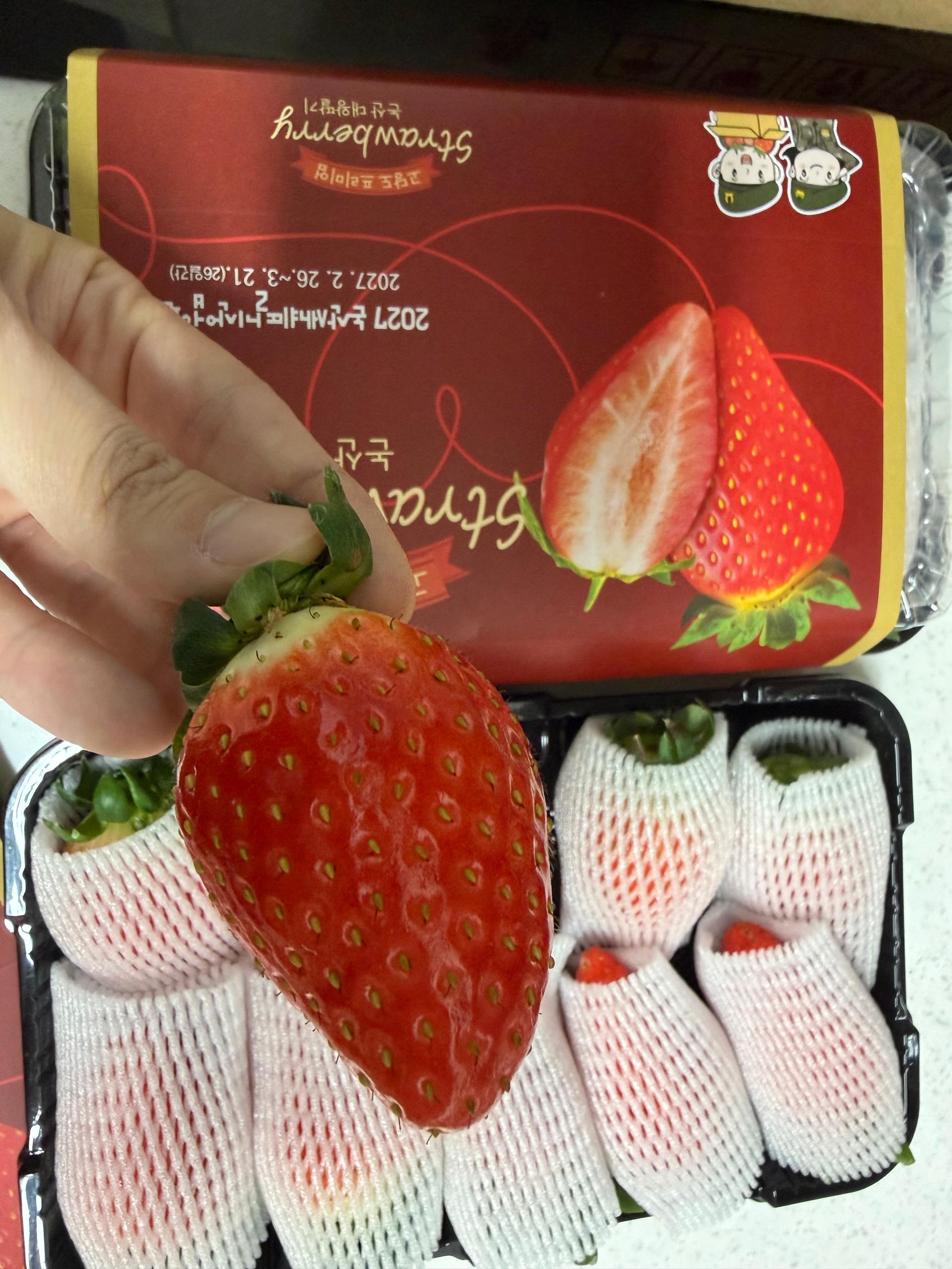 [12월말 발송예정] 논산 킹스베리 900g