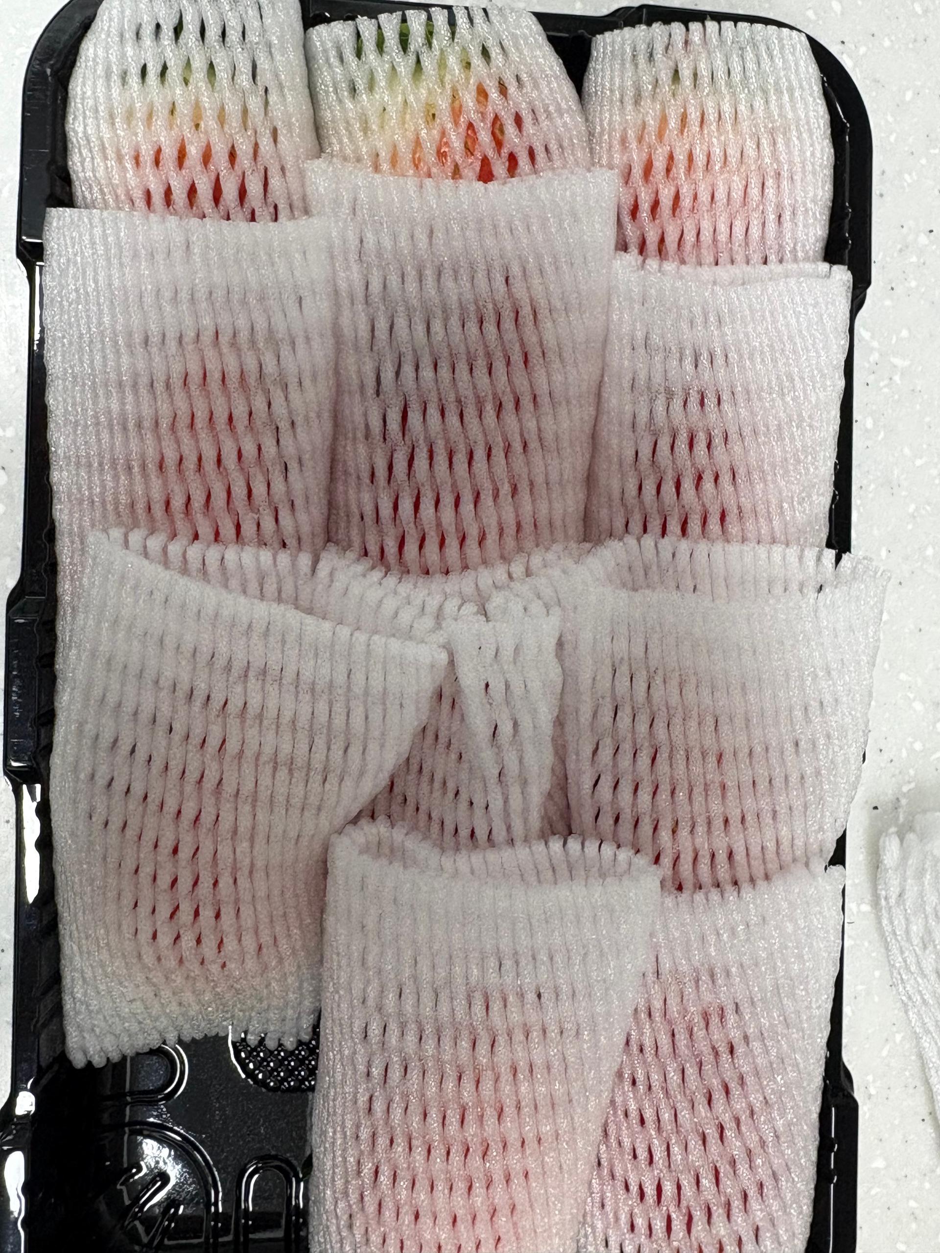 포토후기 이미지