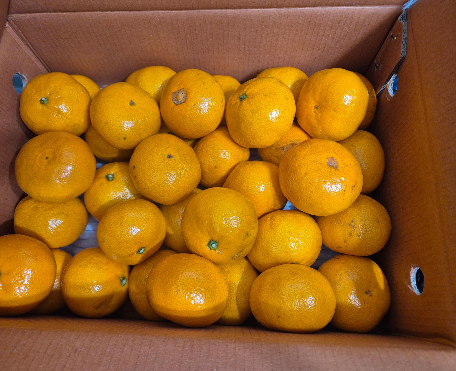 포토후기 이미지