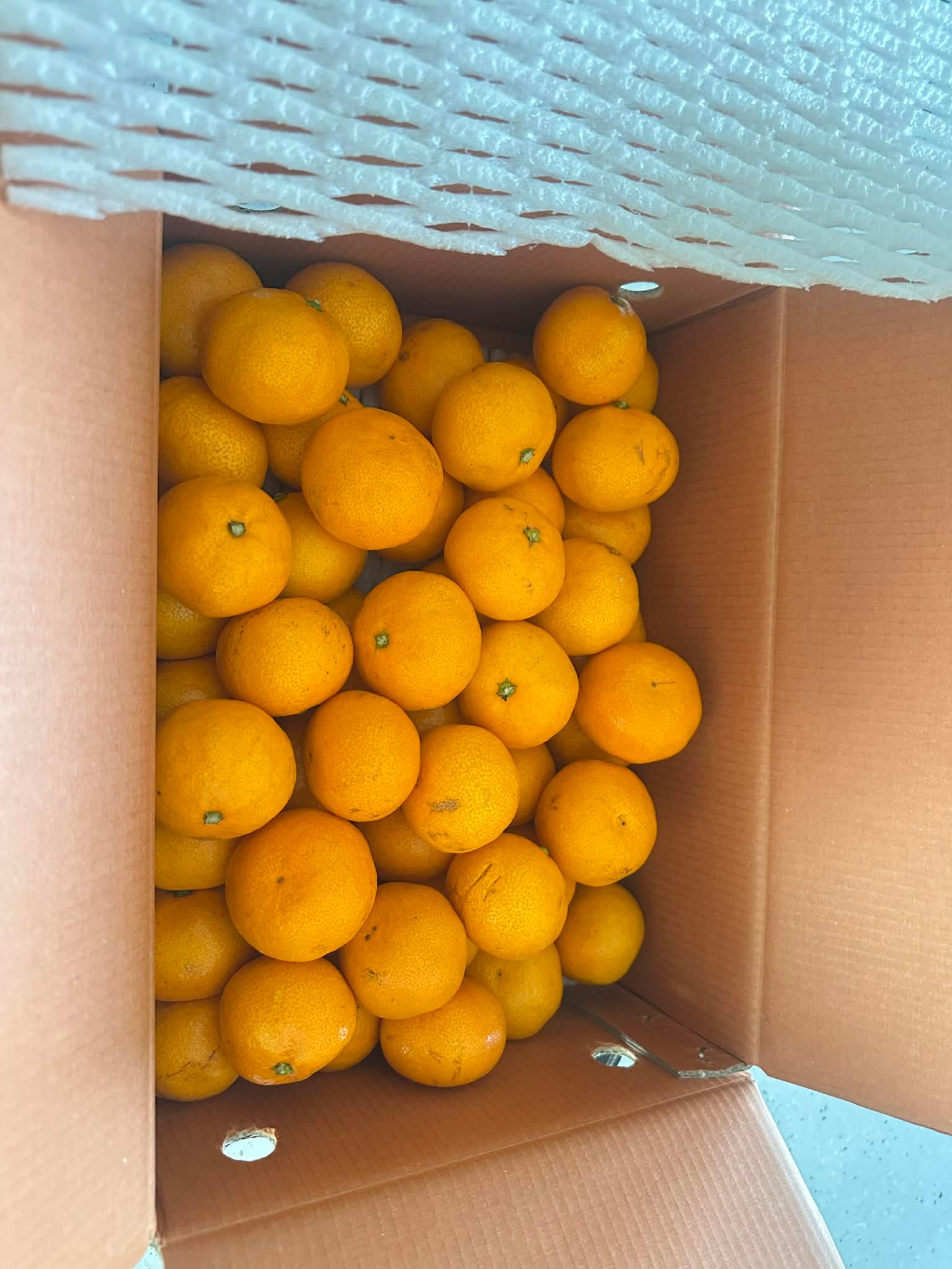 포토후기 이미지