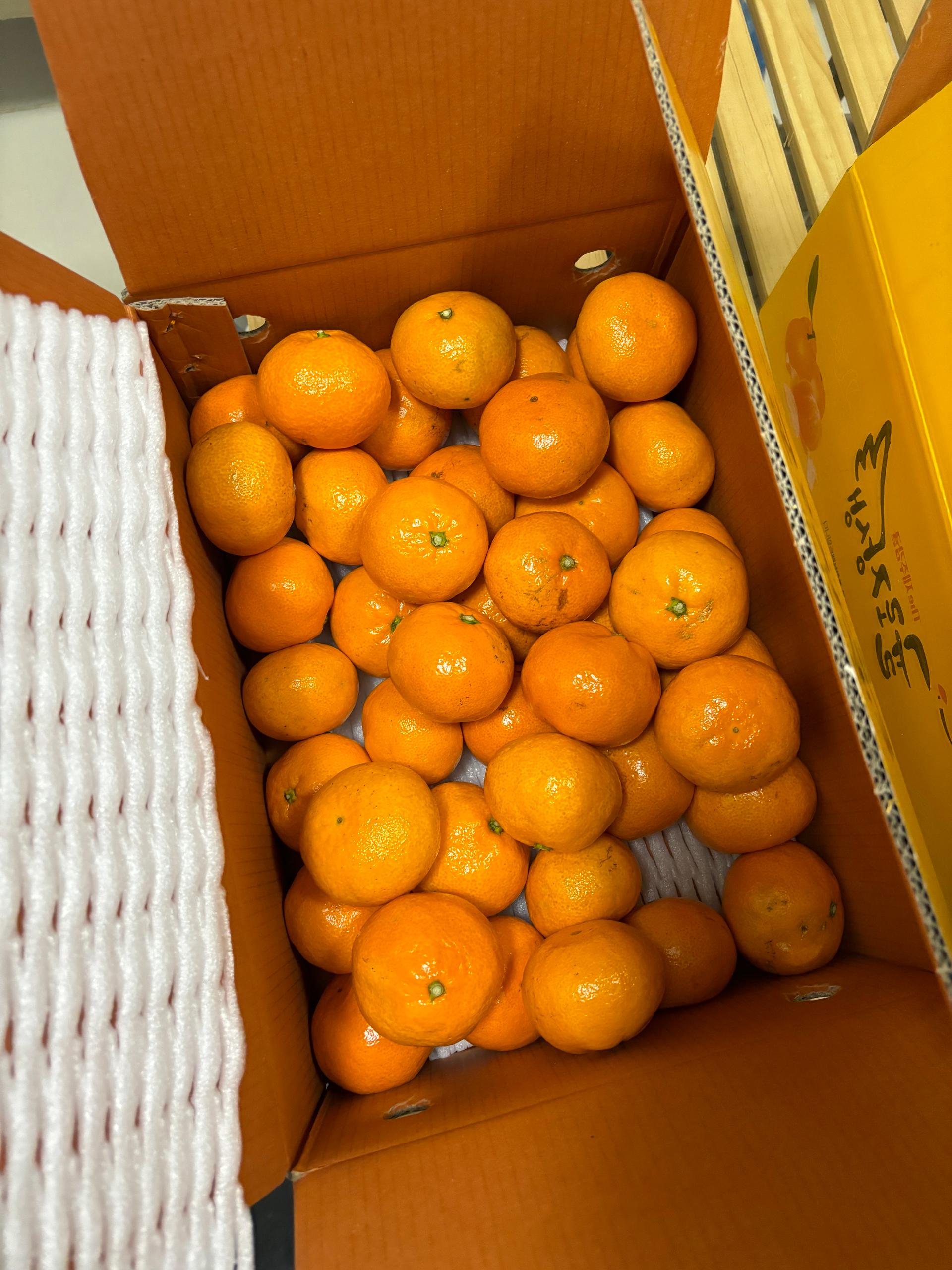 포토후기 이미지