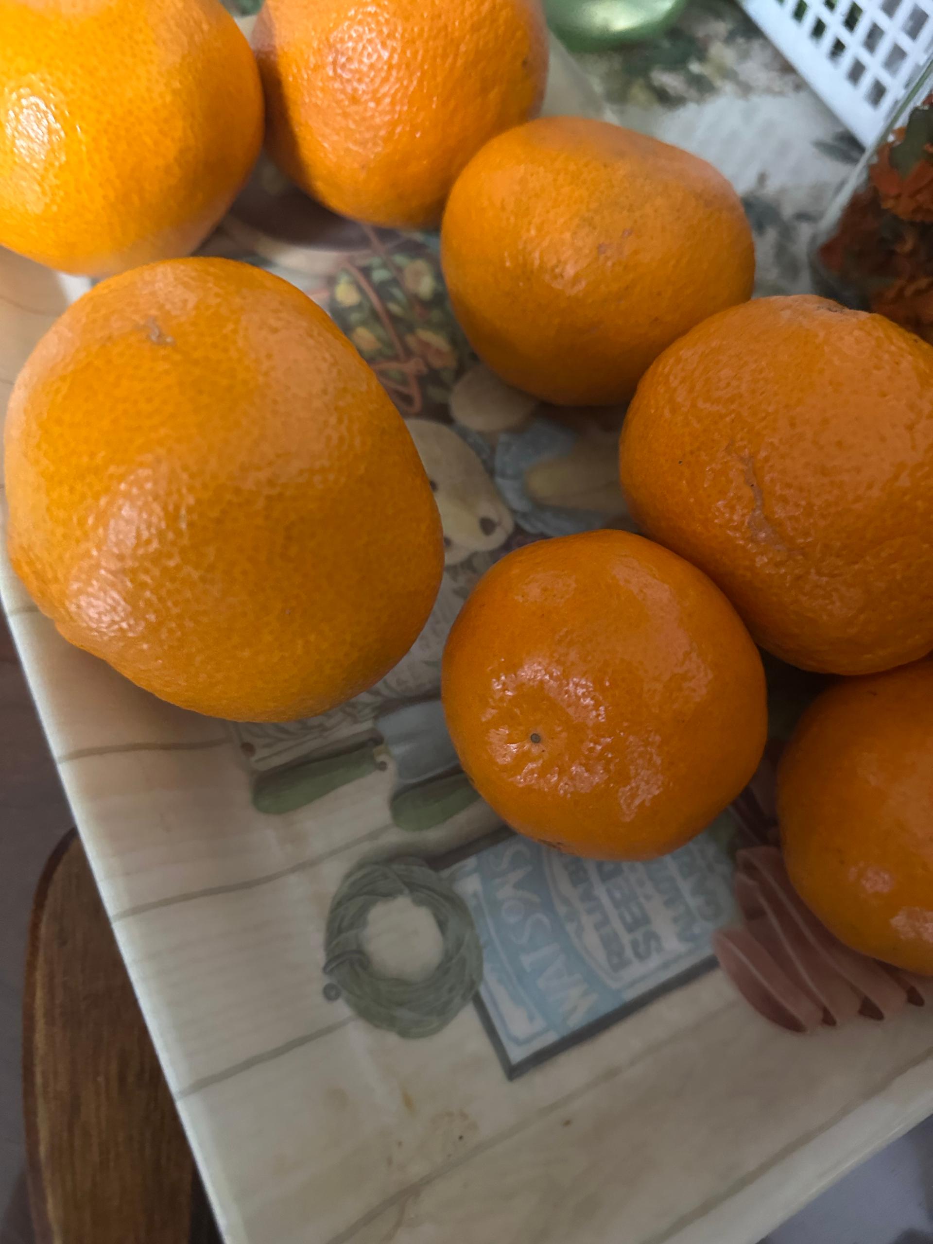 포토후기 이미지