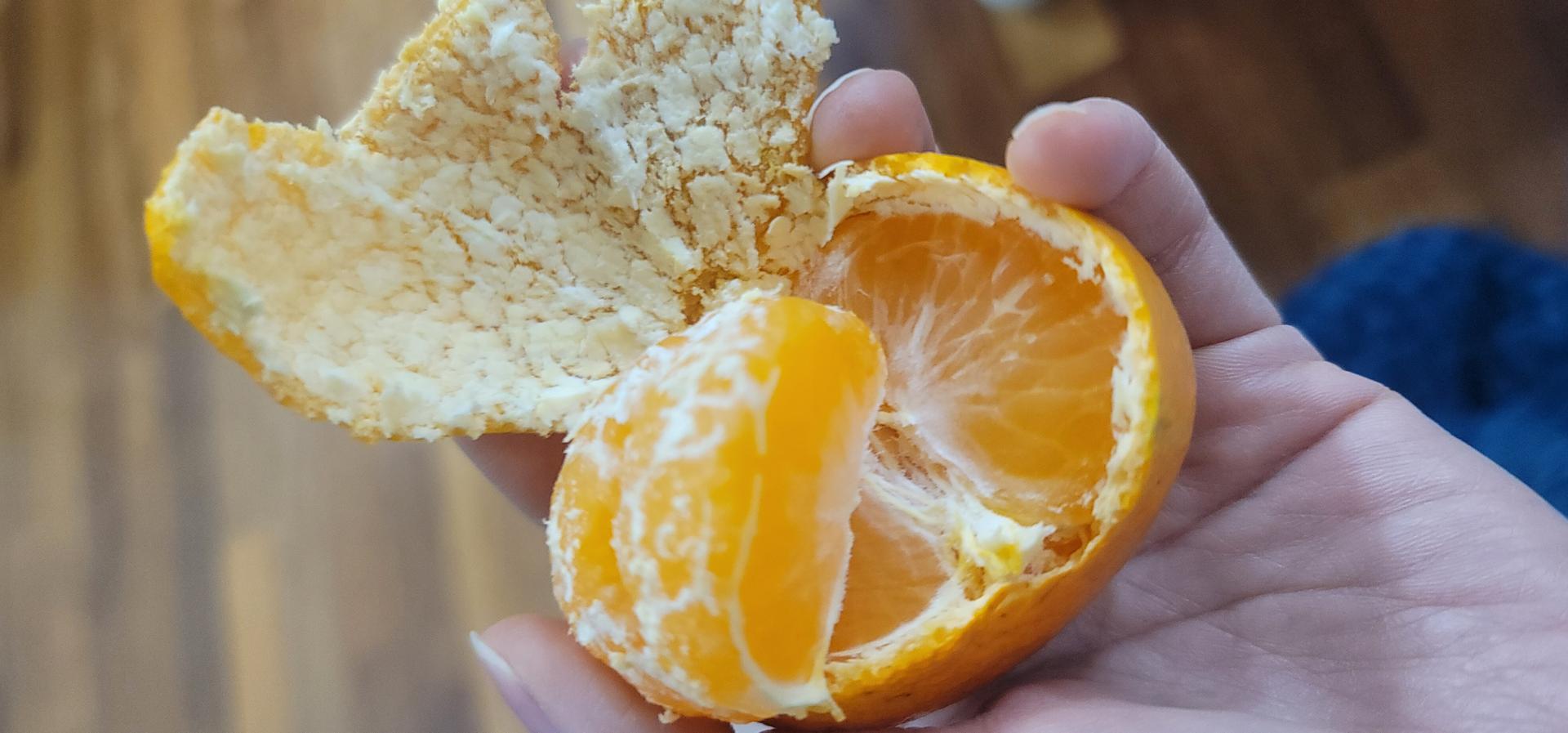 포토후기 이미지