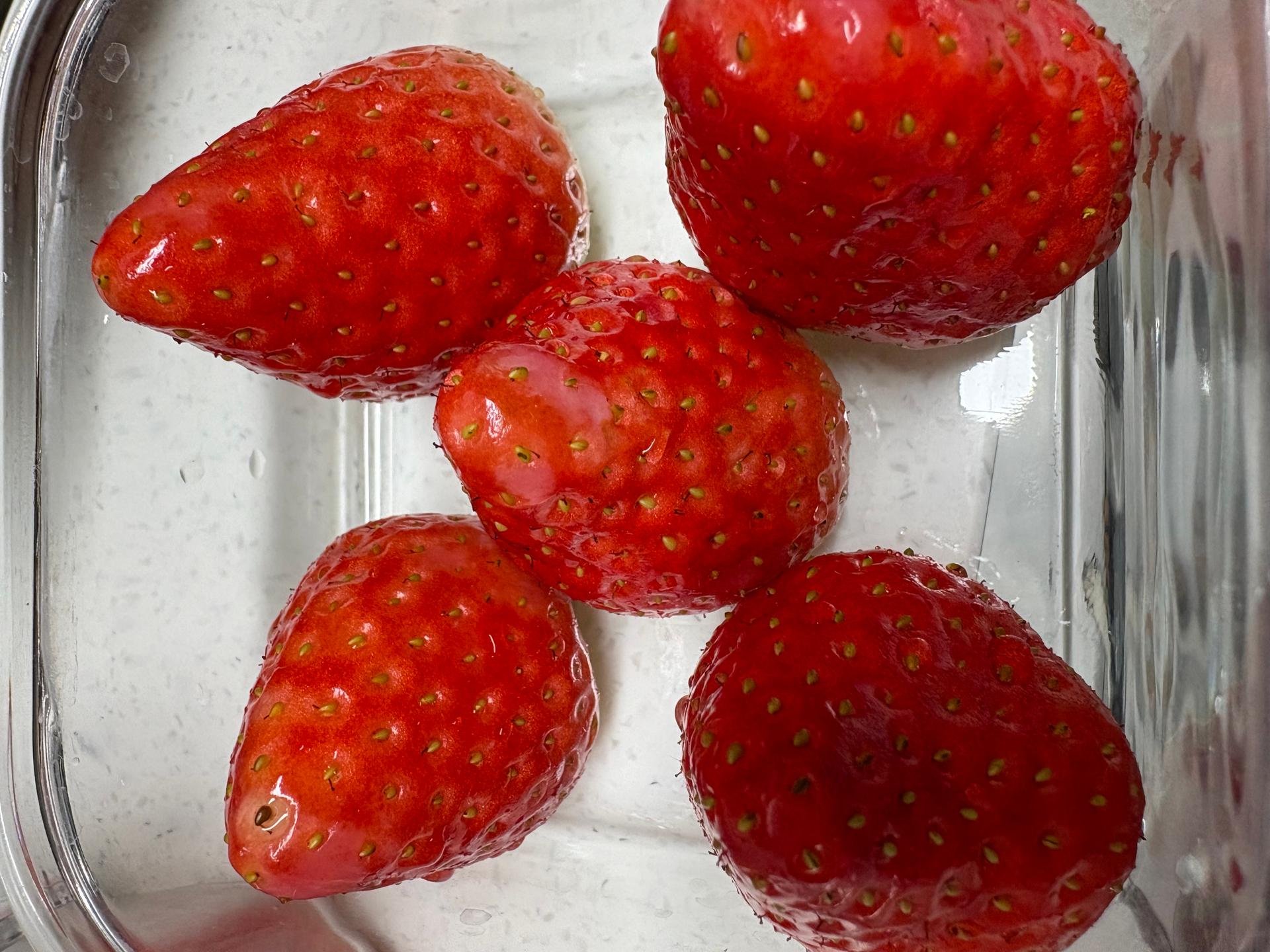 포토후기 이미지