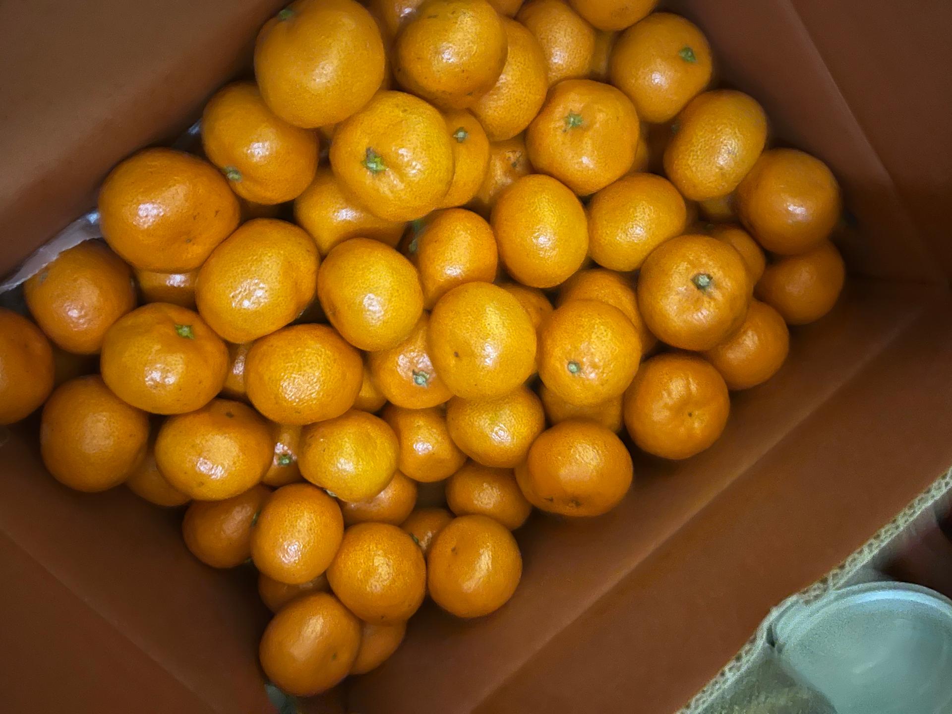 포토후기 이미지