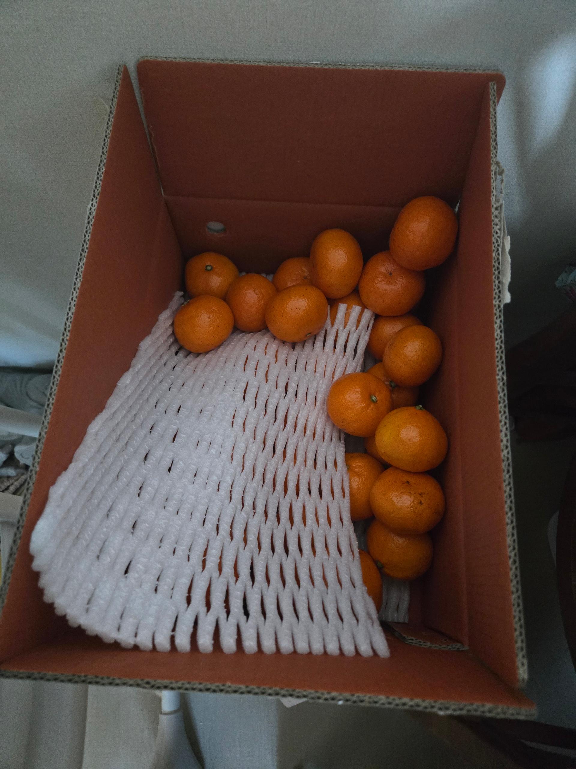 [연말한정! 감귤/흑돼지 ★분리발송★] 제주감귤 4kg (1박스)+흑돼지세트