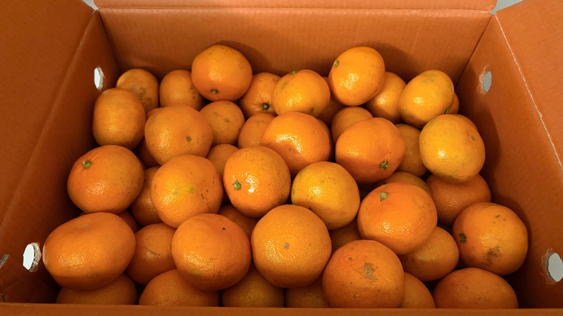 포토후기 이미지