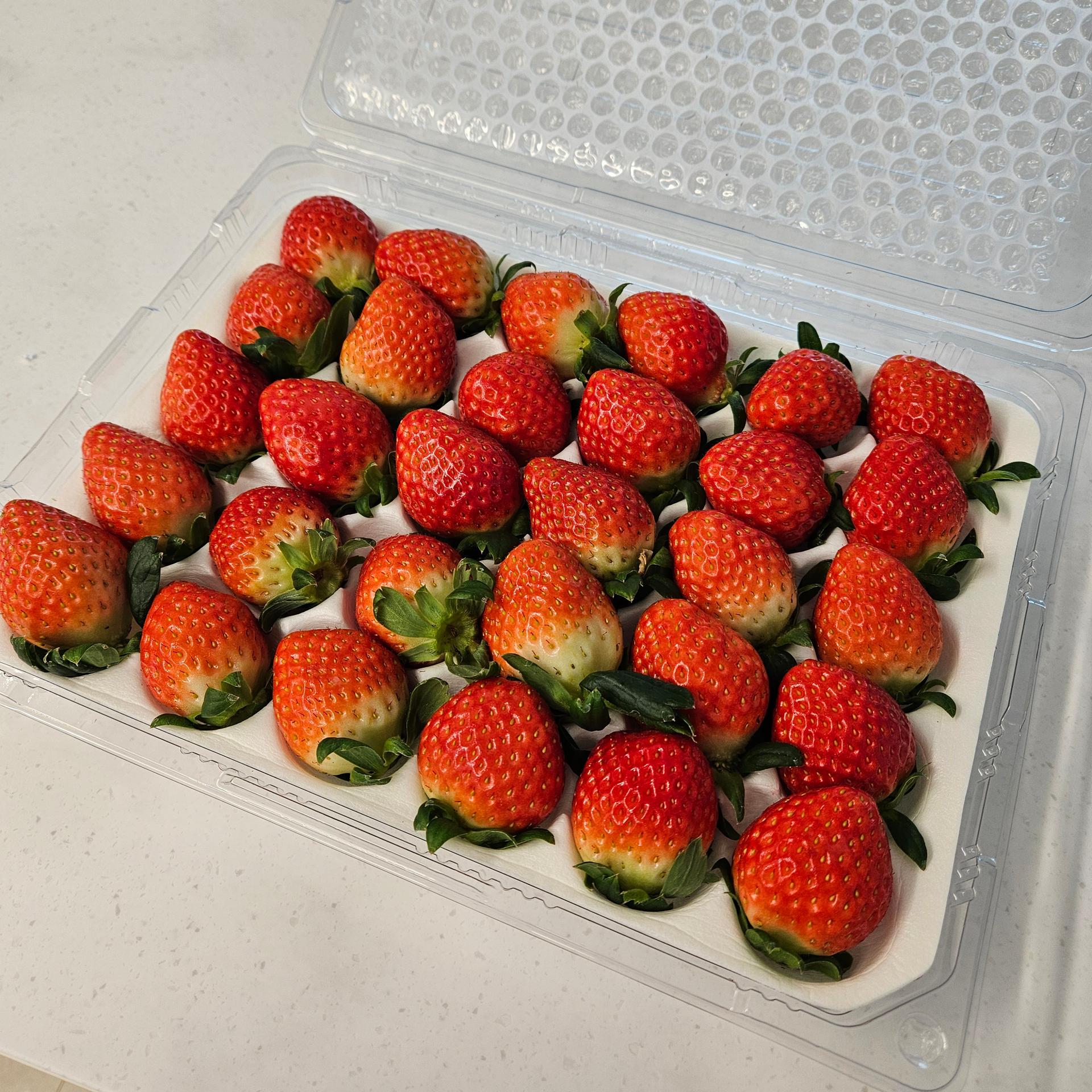 연곡 페이머스파머스 딸기 800g