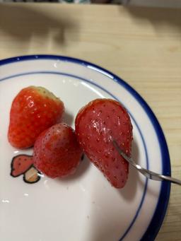 [12/23 주문건부터 1/12 순차발송] 논산 킹스베리 900g-4