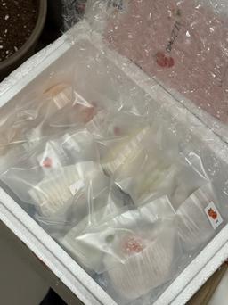 오모찌 과일찹쌀떡 10개 - 12/16주문건부터 12/30 순차출고(2주 소요)-1