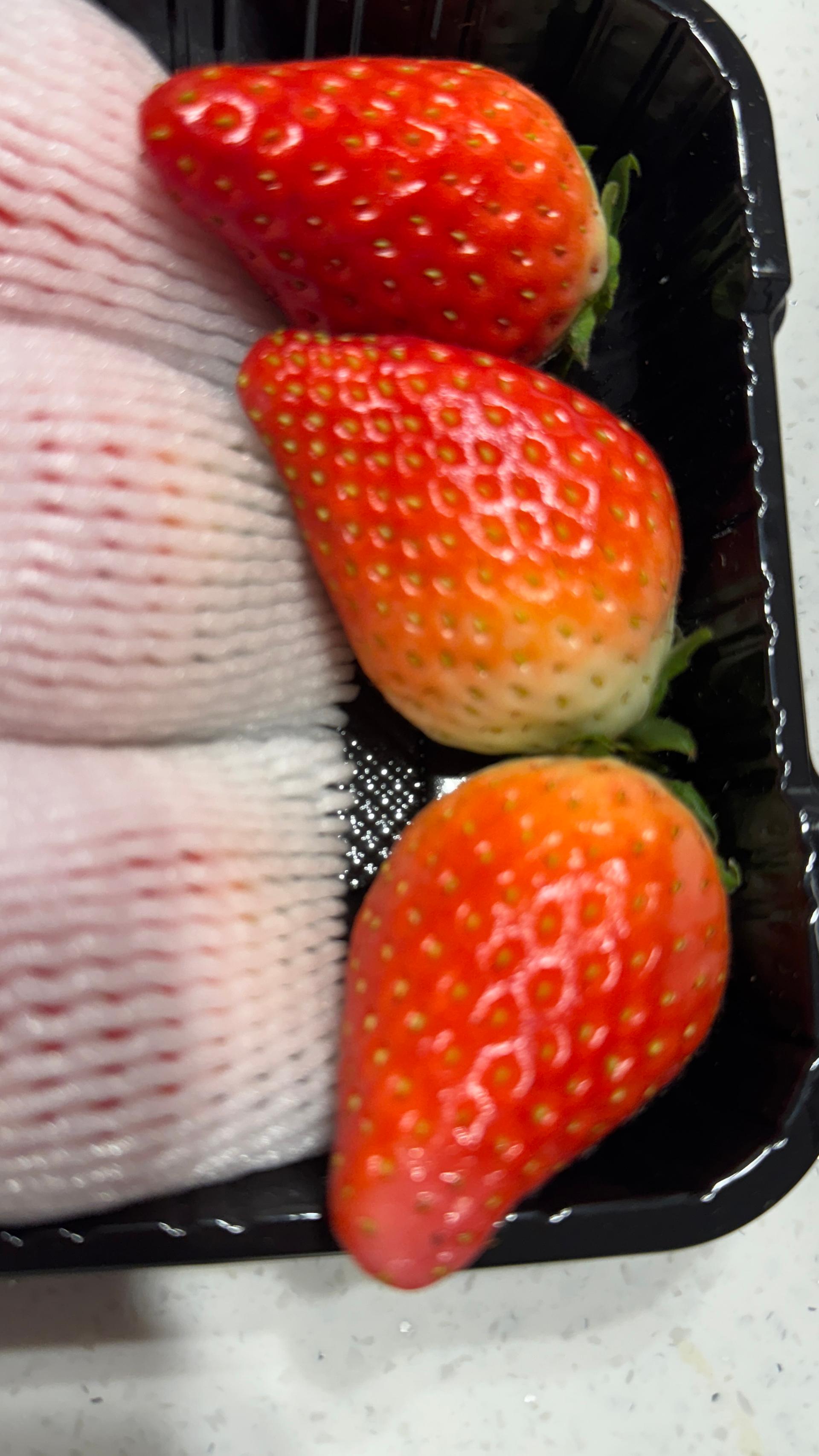 [1000세트 한정/1월19일 순차출고] 논산 킹스베리 900g