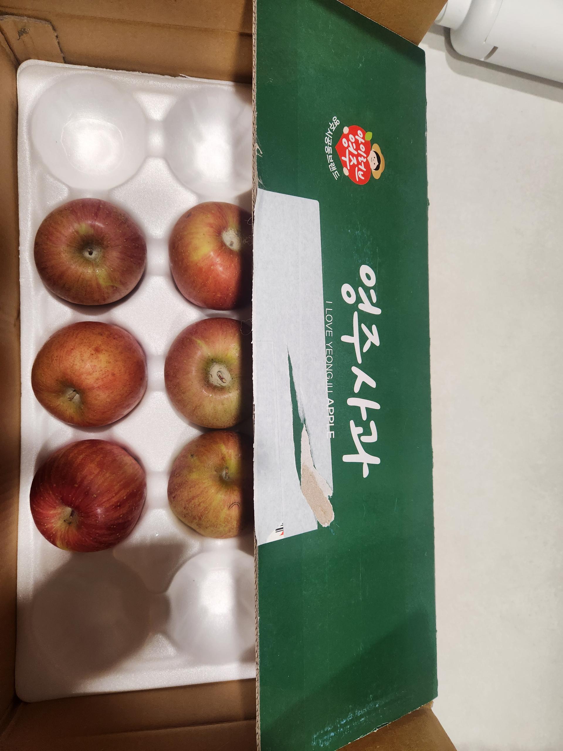 포토후기 이미지