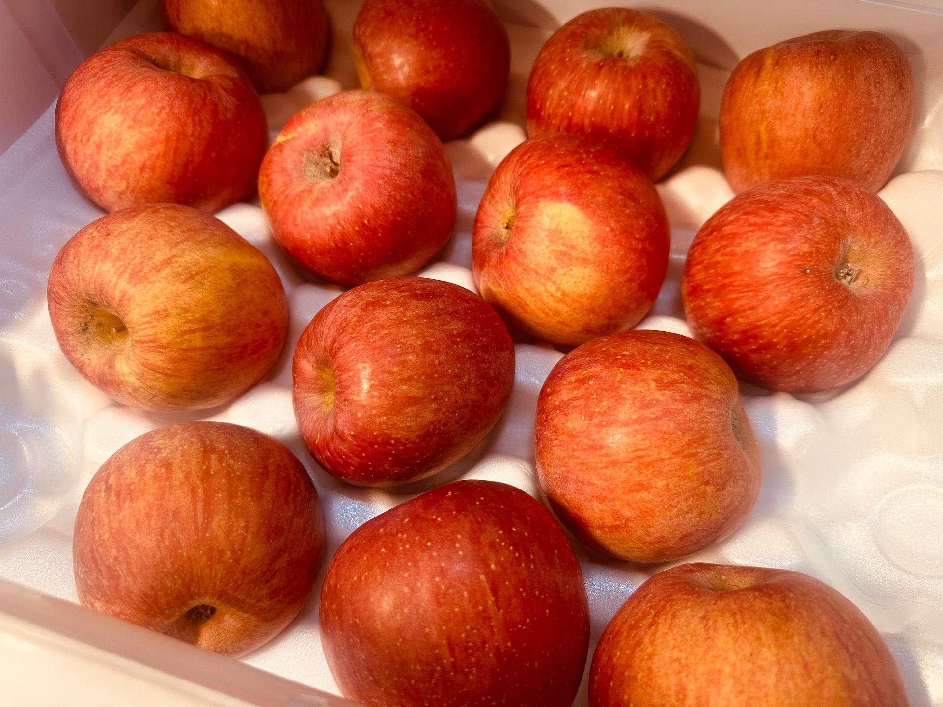 풍기농협 영주사과 3.5kg + 1kg 추가증정