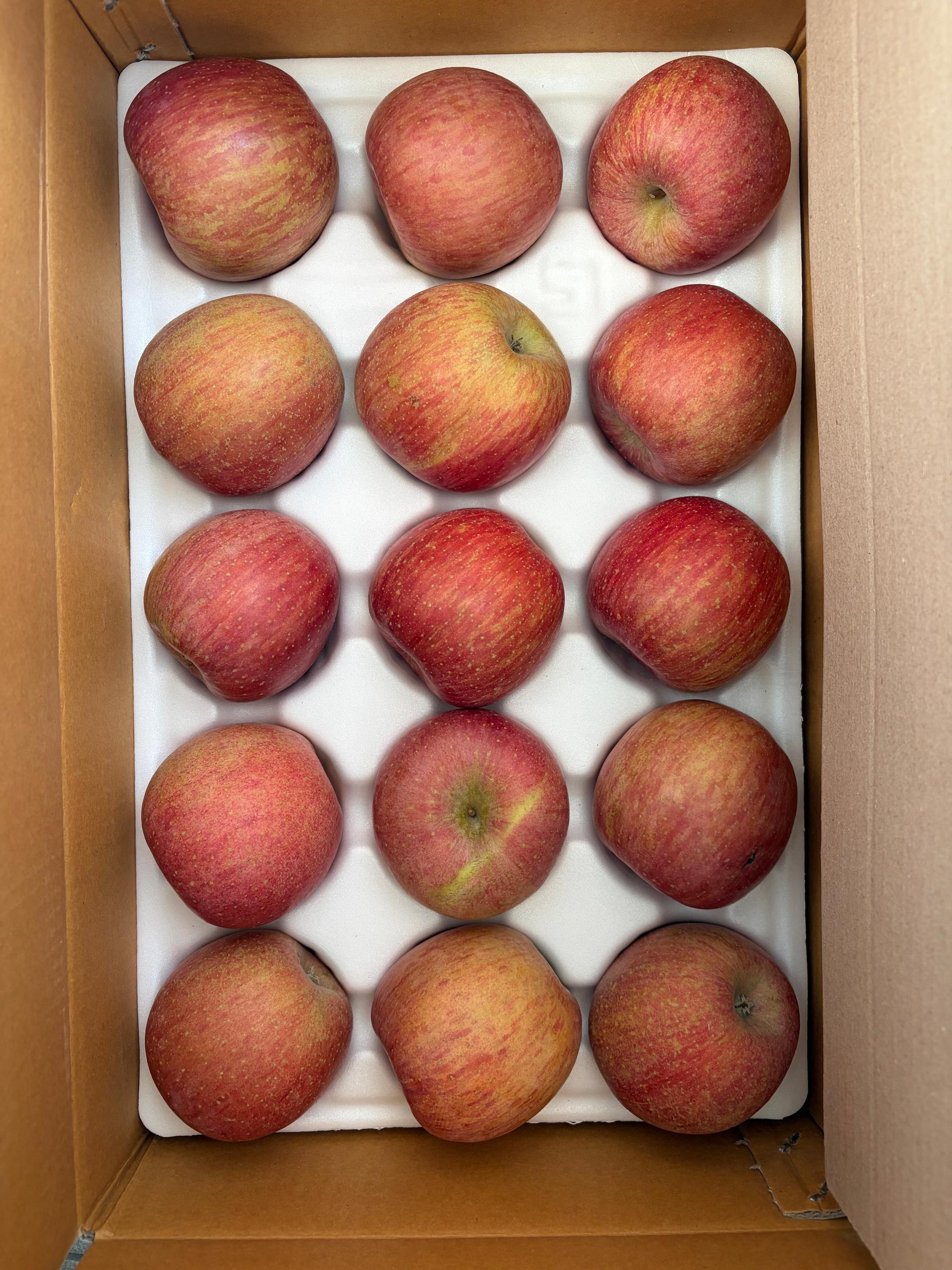 포토후기 이미지