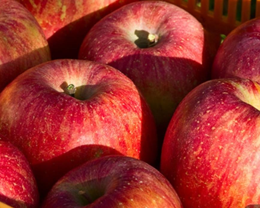 포토후기 이미지