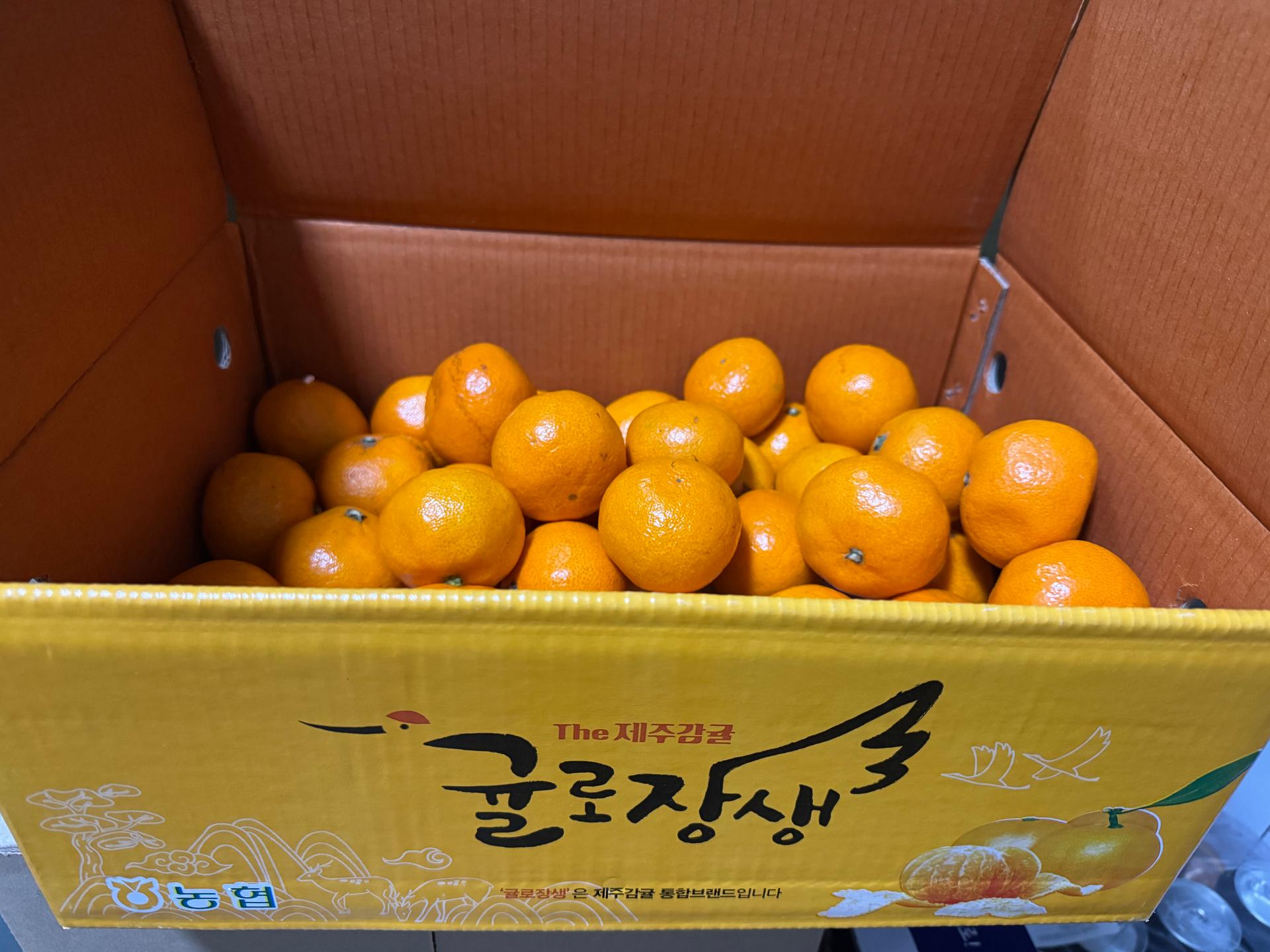 [연말한정! 감귤/흑돼지 ★분리발송★] 제주감귤 4kg (1박스)+흑돼지세트 이미지