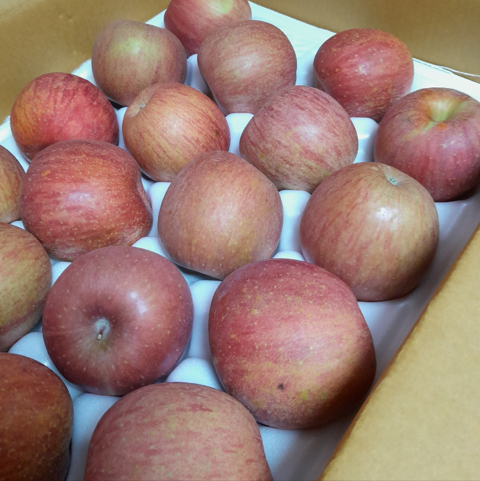 포토후기 이미지