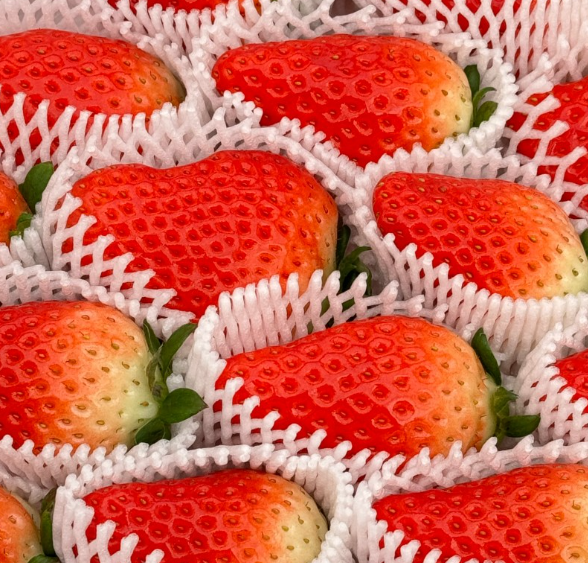 [사전예약 12/15 순차출고] 논산 킹스베리 900g