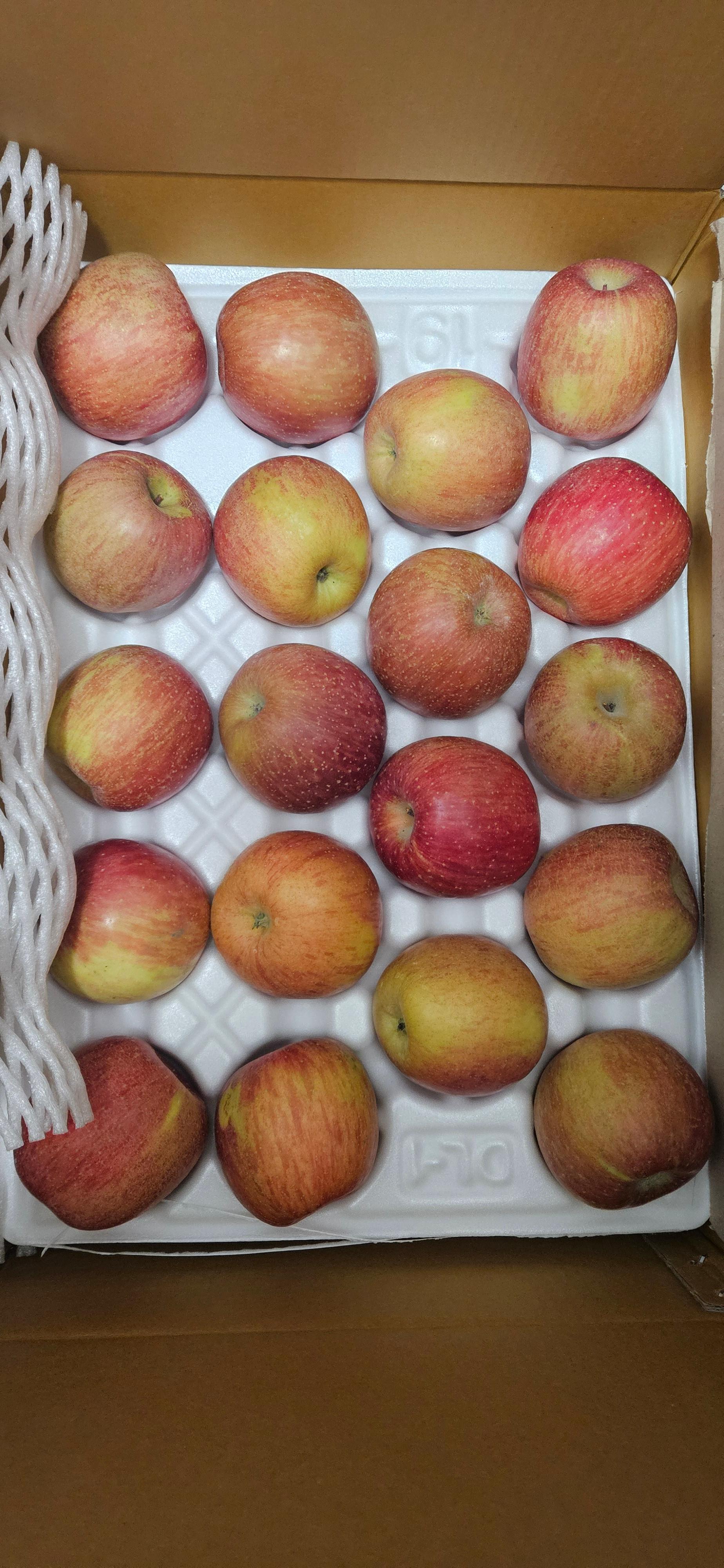 포토후기 이미지