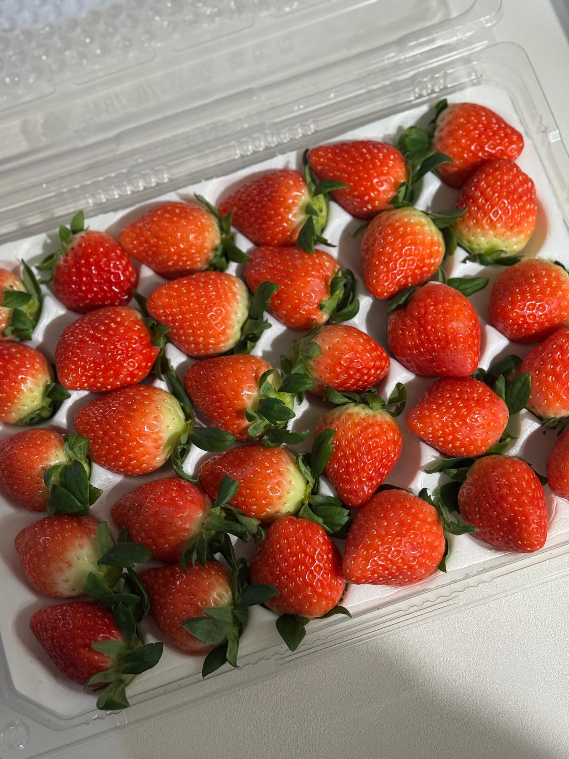 포토후기 이미지