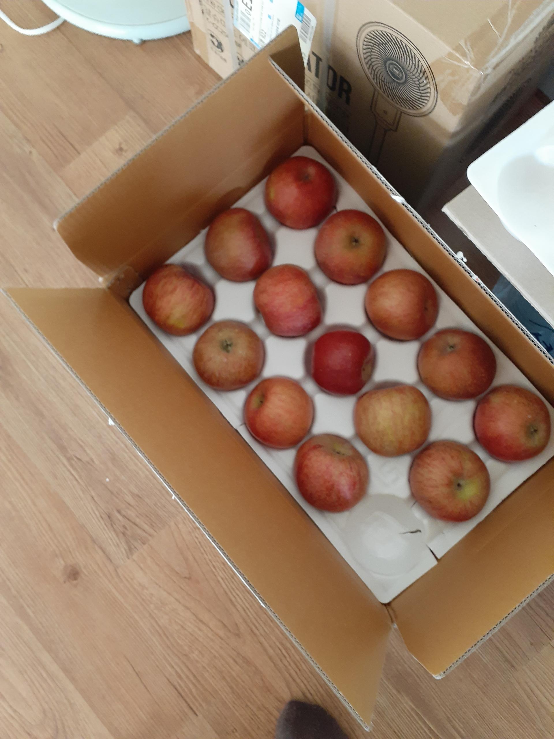 포토후기 이미지