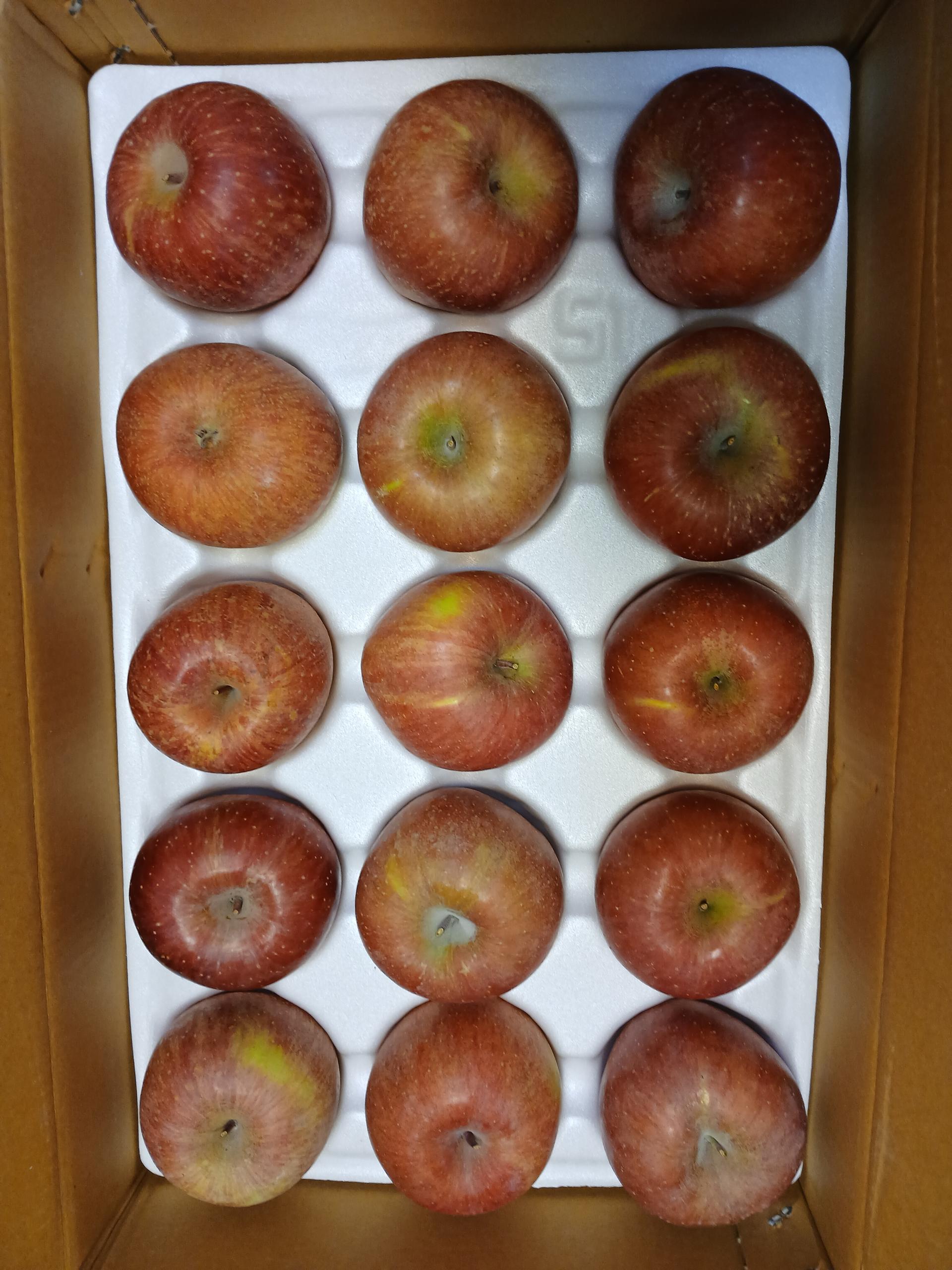 풍기농협 영주사과 3.5kg 이미지