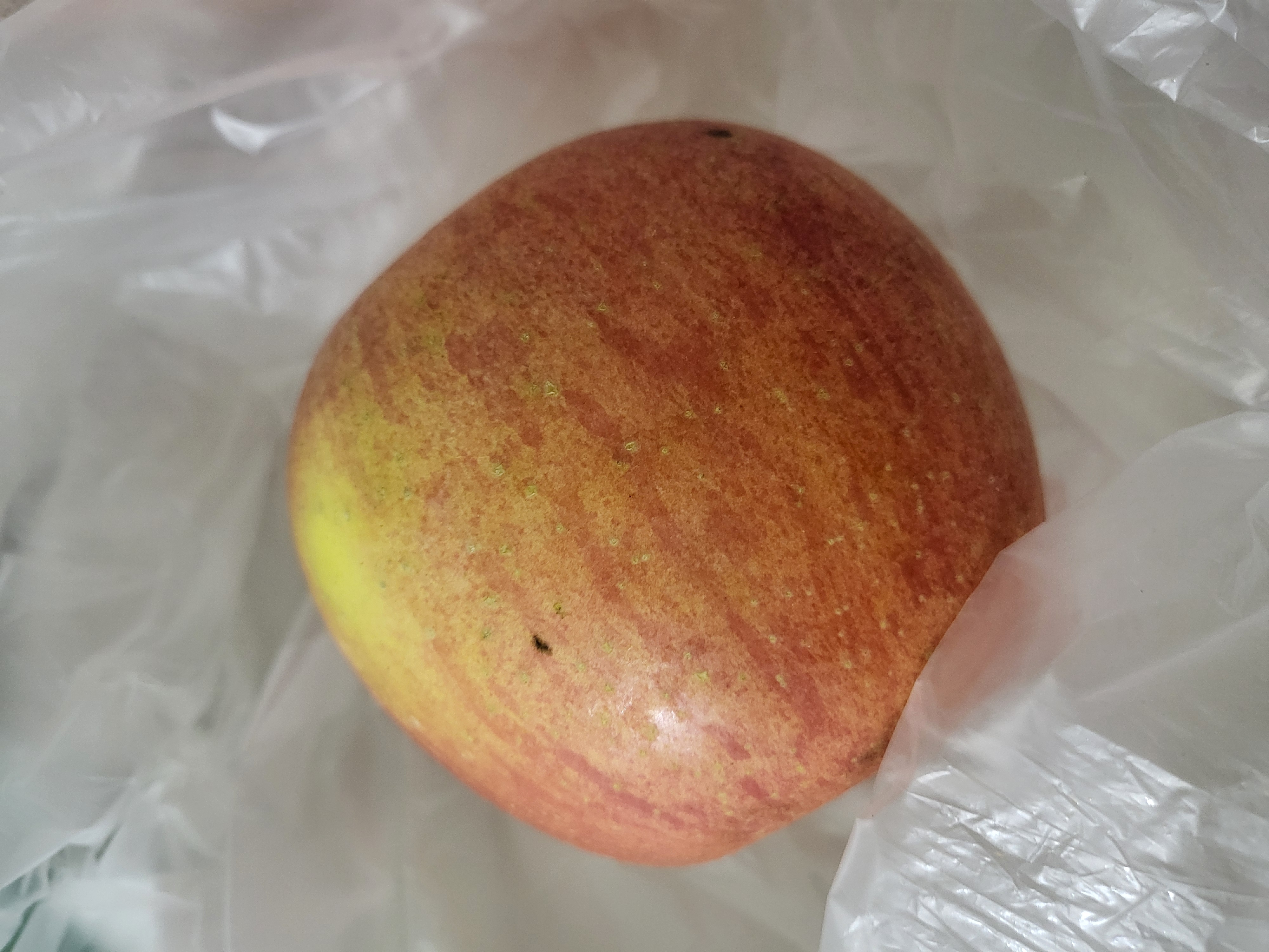 풍기농협 영주사과 3.5kg + 1kg 추가증정