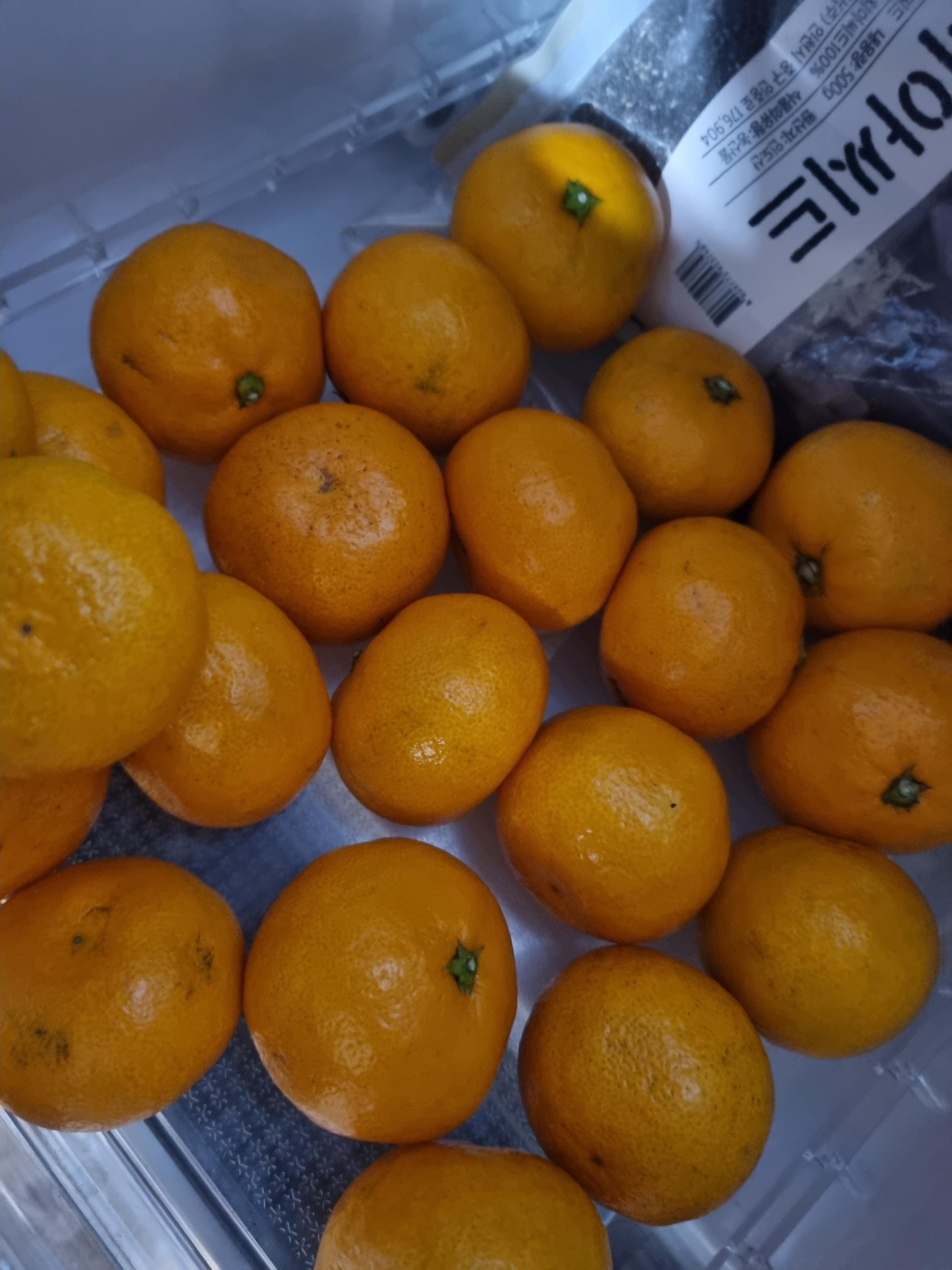 [연말한정! 감귤/흑돼지 ★분리발송★] 제주감귤 4kg (1박스)+흑돼지세트