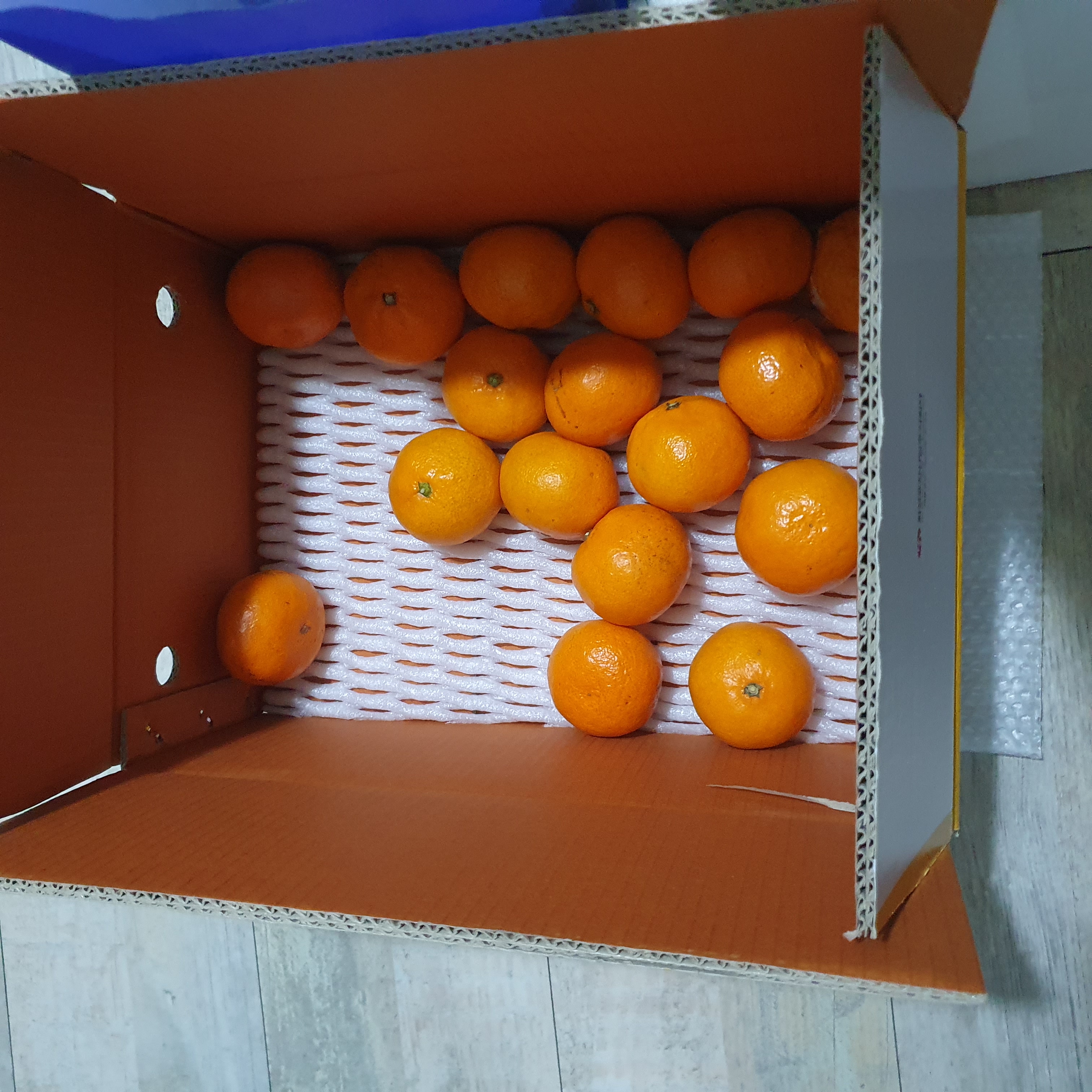 [연말한정! 감귤/흑돼지 ★분리발송★] 제주감귤 4kg (1박스)+흑돼지세트