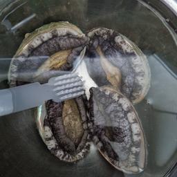 완도 전복 실속 선물세트 (1kg)-4