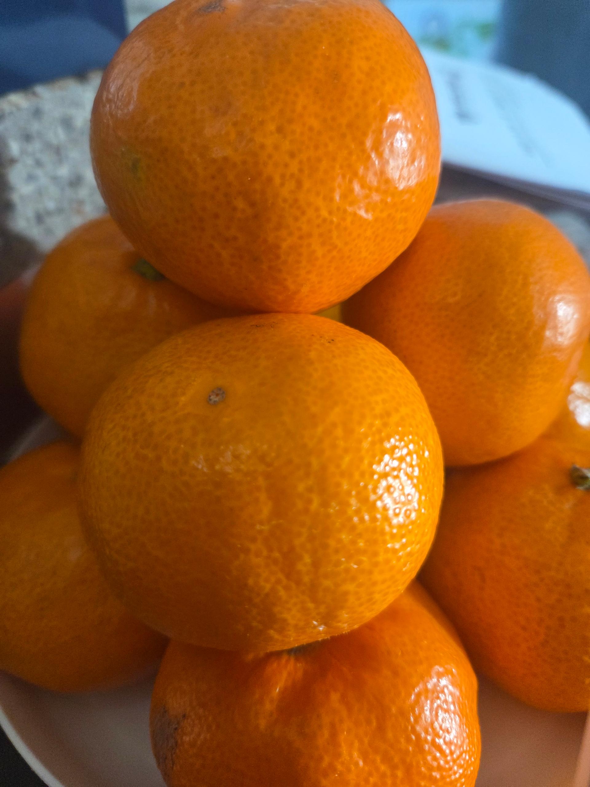 [연말한정! 감귤/흑돼지 ★분리발송★] 제주감귤 4kg (1박스)+흑돼지세트