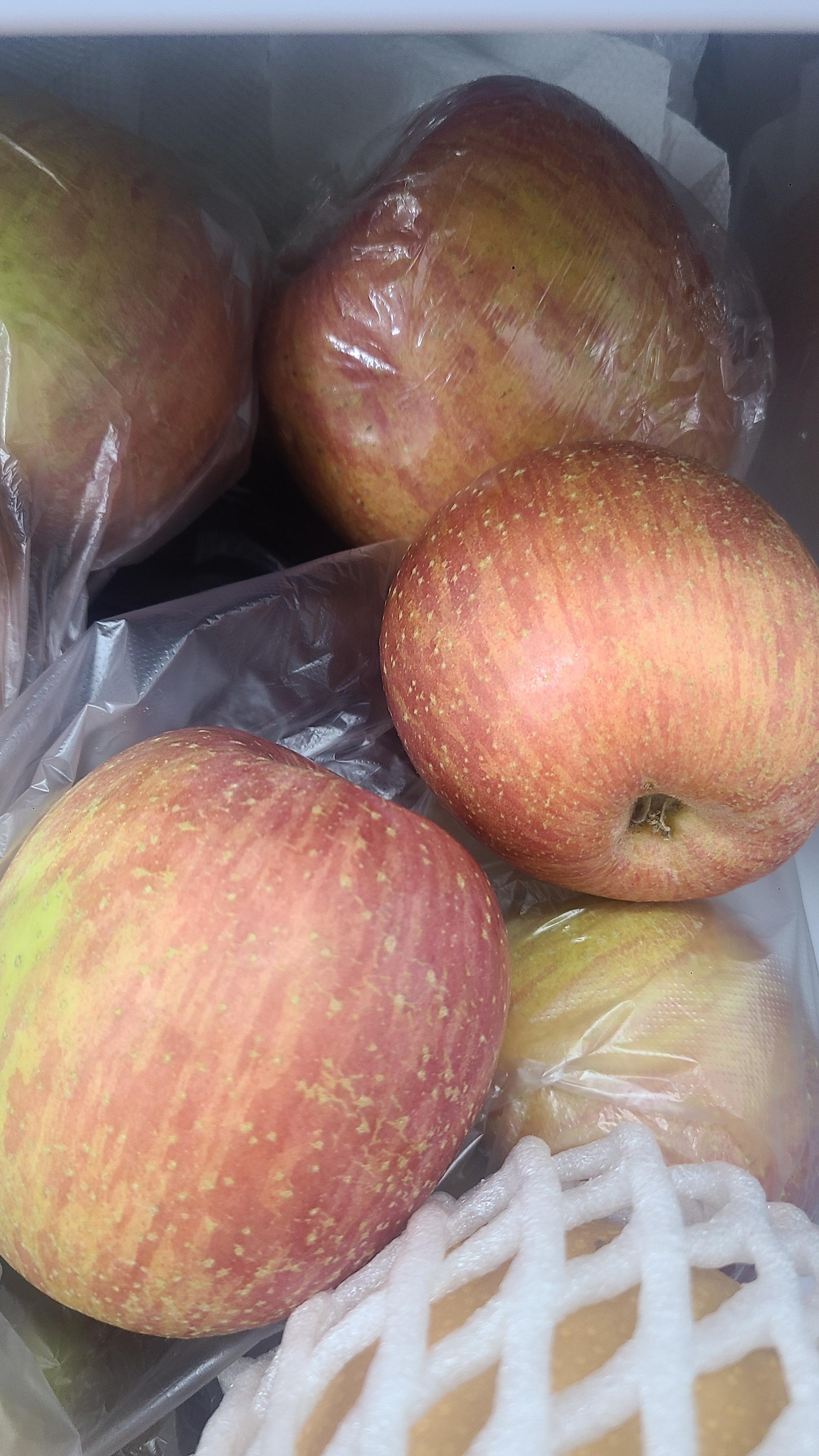 풍기농협 영주사과 3.5kg + 1kg 추가증정