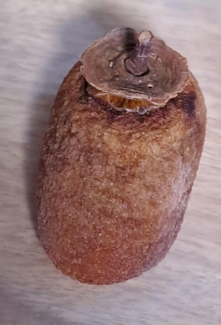 포토후기 이미지