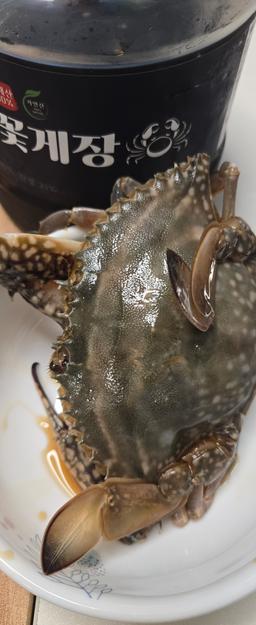 국내산 최상급 꽃게장 (땡초/일반/양념) 최대 1.8kg-1