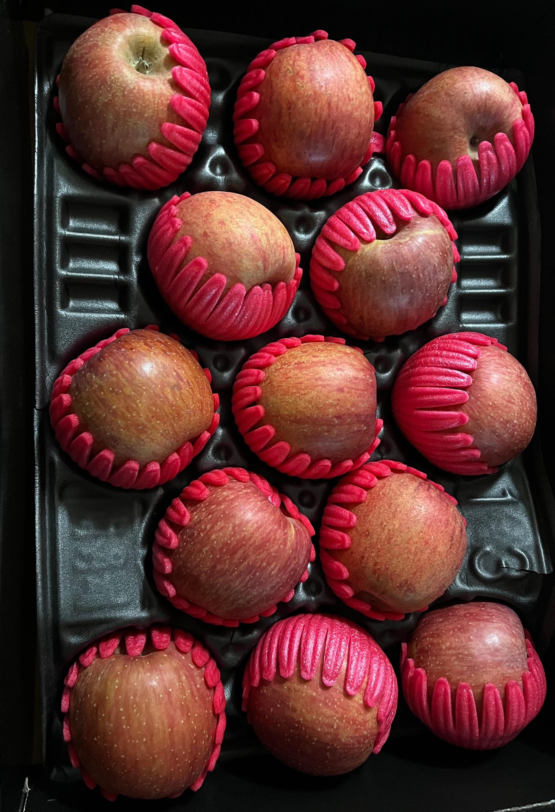 대경사과원예농협 영주사과 3kg 선물세트 이미지