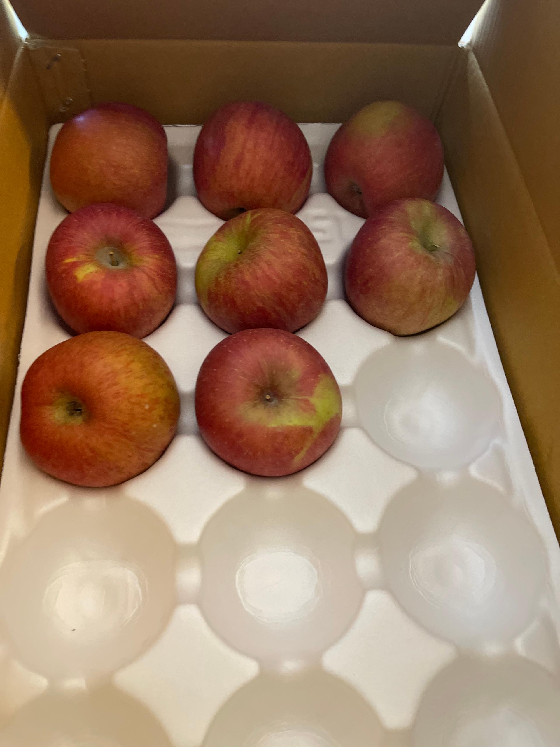 풍기농협 영주사과 3.5kg