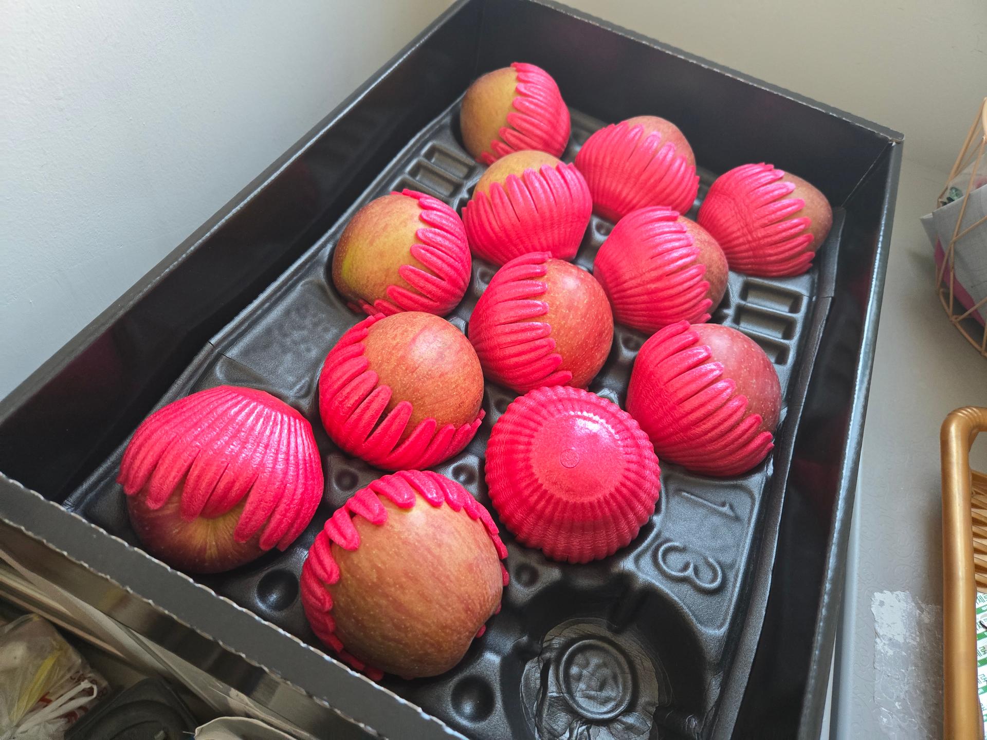 포토후기 이미지