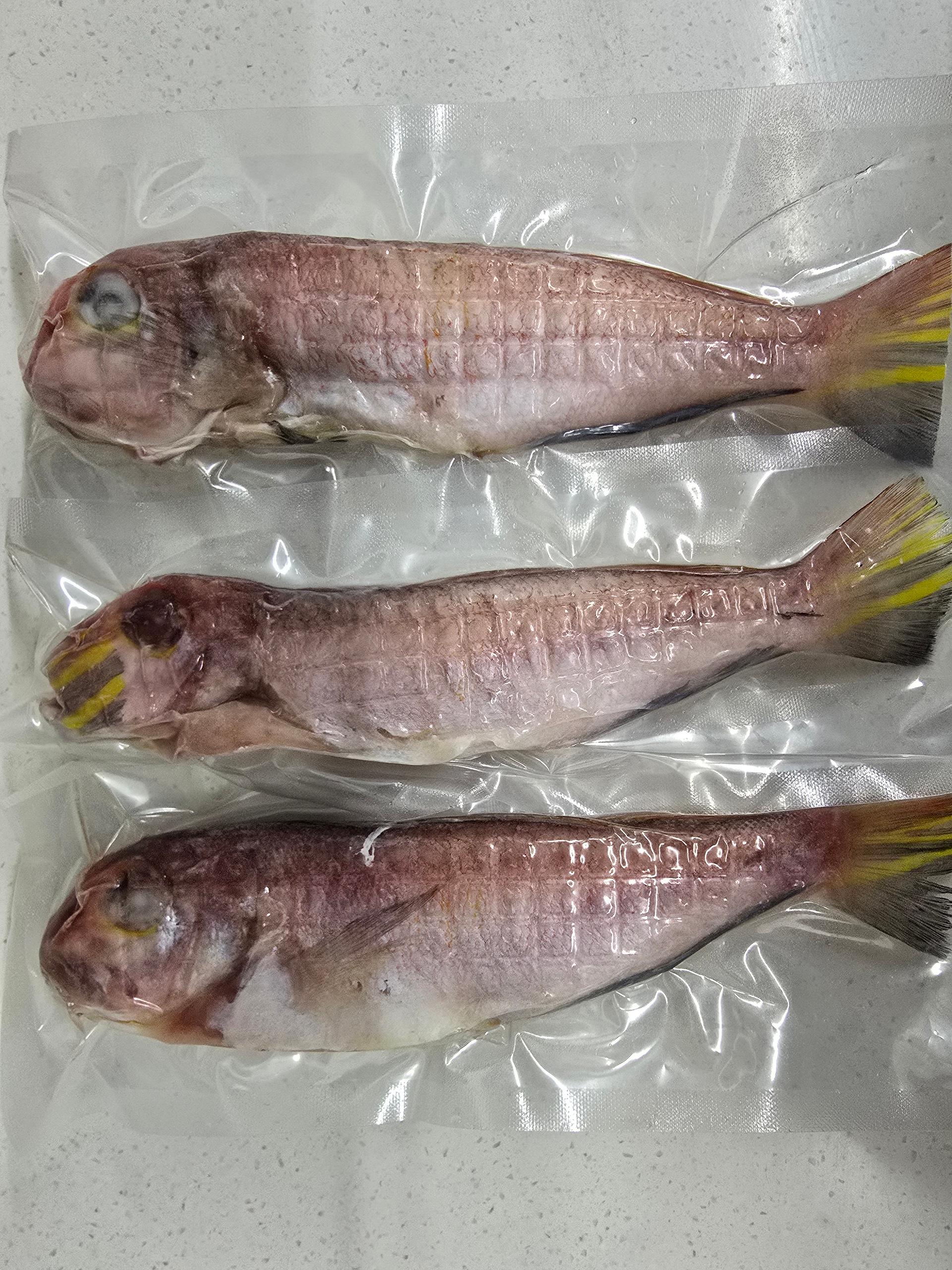 안동수산 갈치+옥돔+고등어 꾸러미 이미지