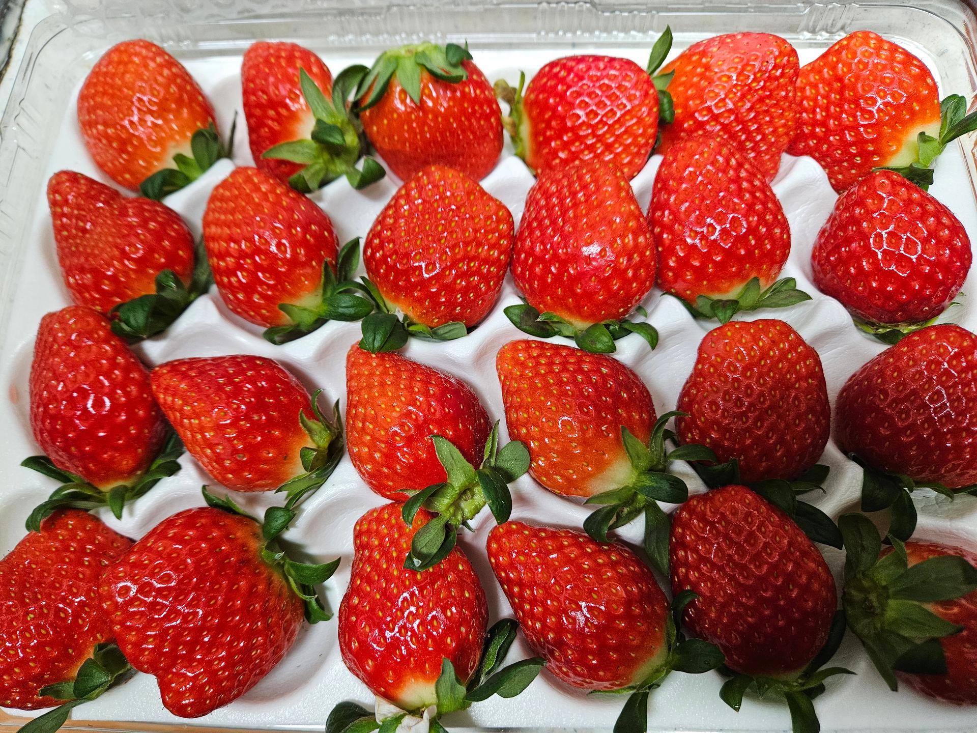 포토후기 이미지