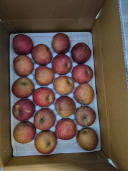 [EVENT] 풍기농협 영주사과 3.5kg + 1kg 추가 증정-1