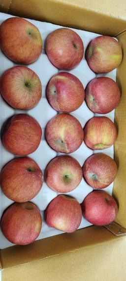 풍기농협 영주사과 3.5kg-2