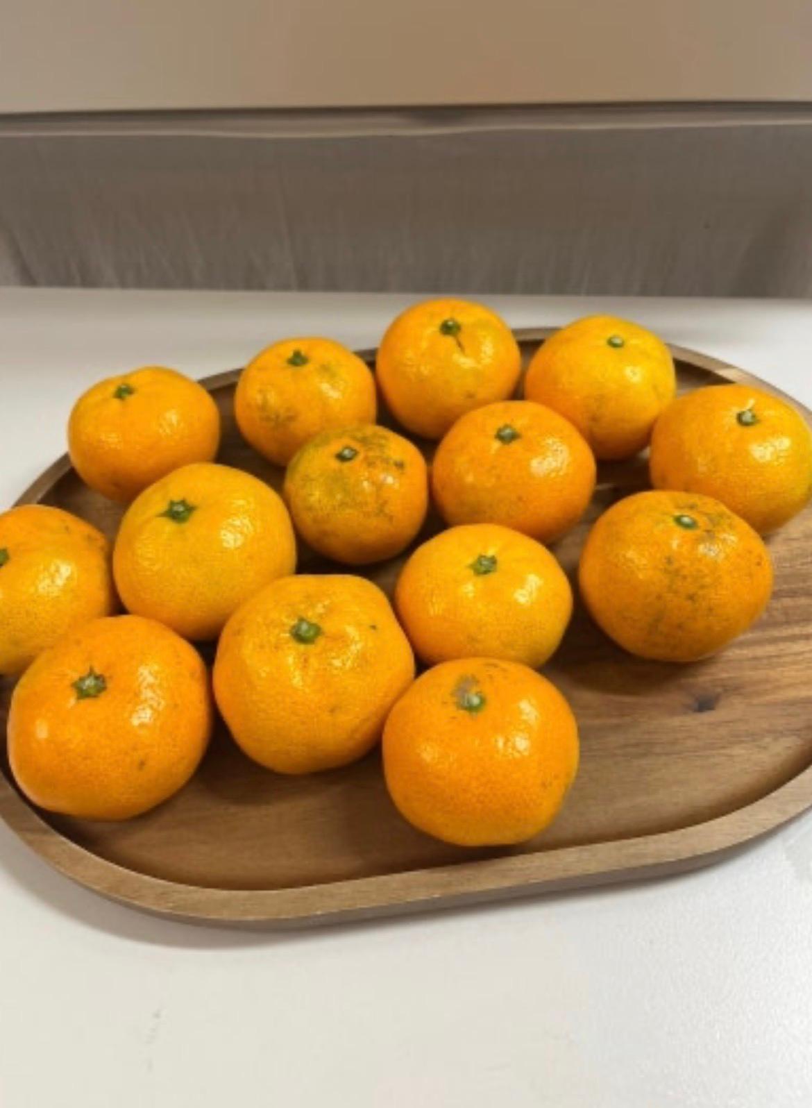 포토후기 이미지