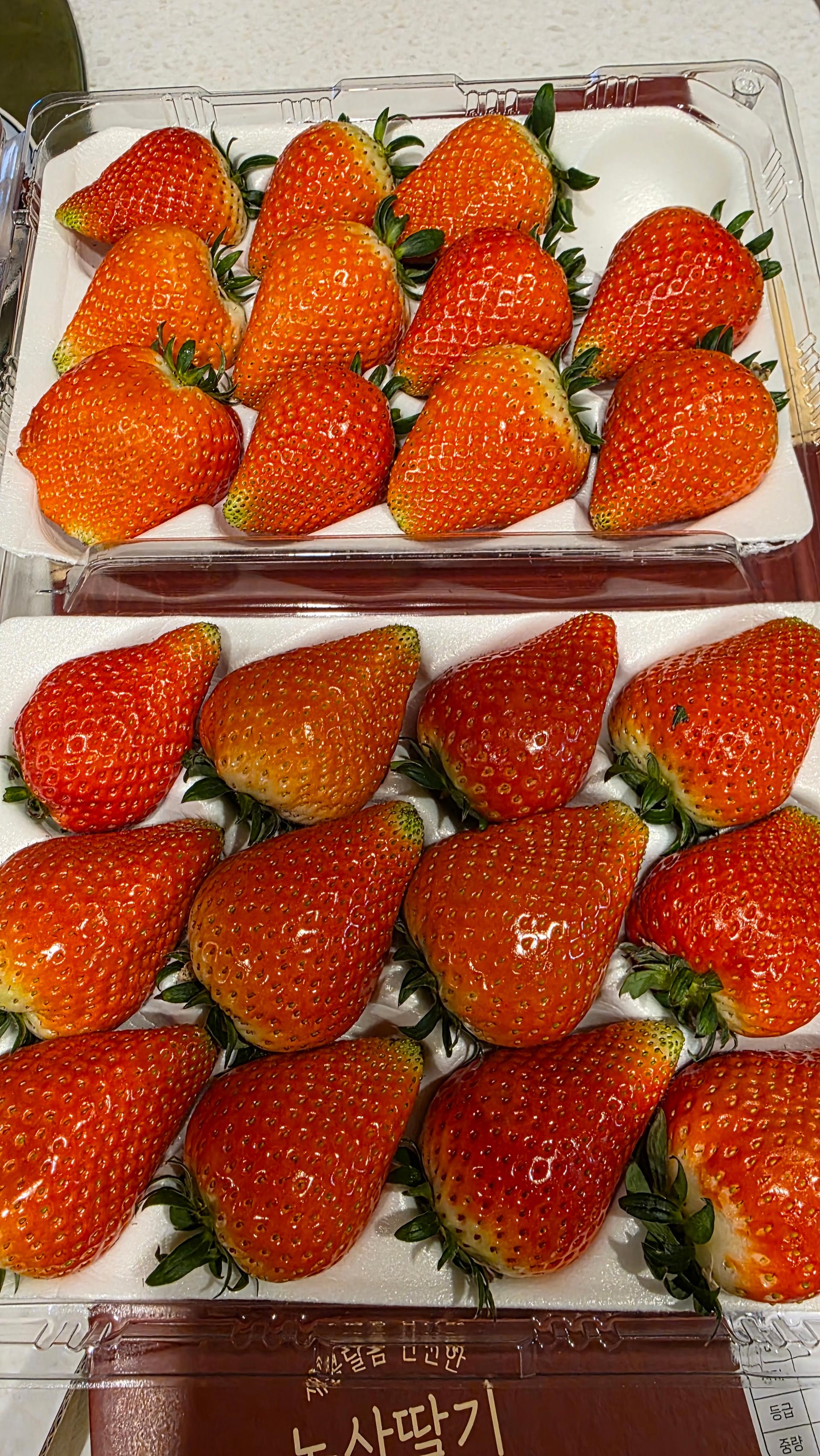 [수량한정] 논산 비타베리 800g/킹스베리 800g