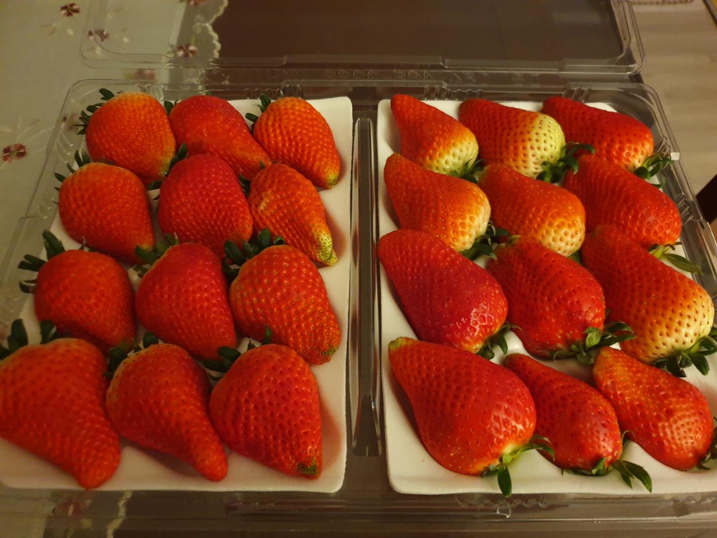 [수량한정] 논산 비타베리 800g/킹스베리 800g