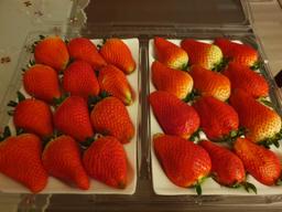 [수량한정] 논산 비타베리 800g/킹스베리 800g-1