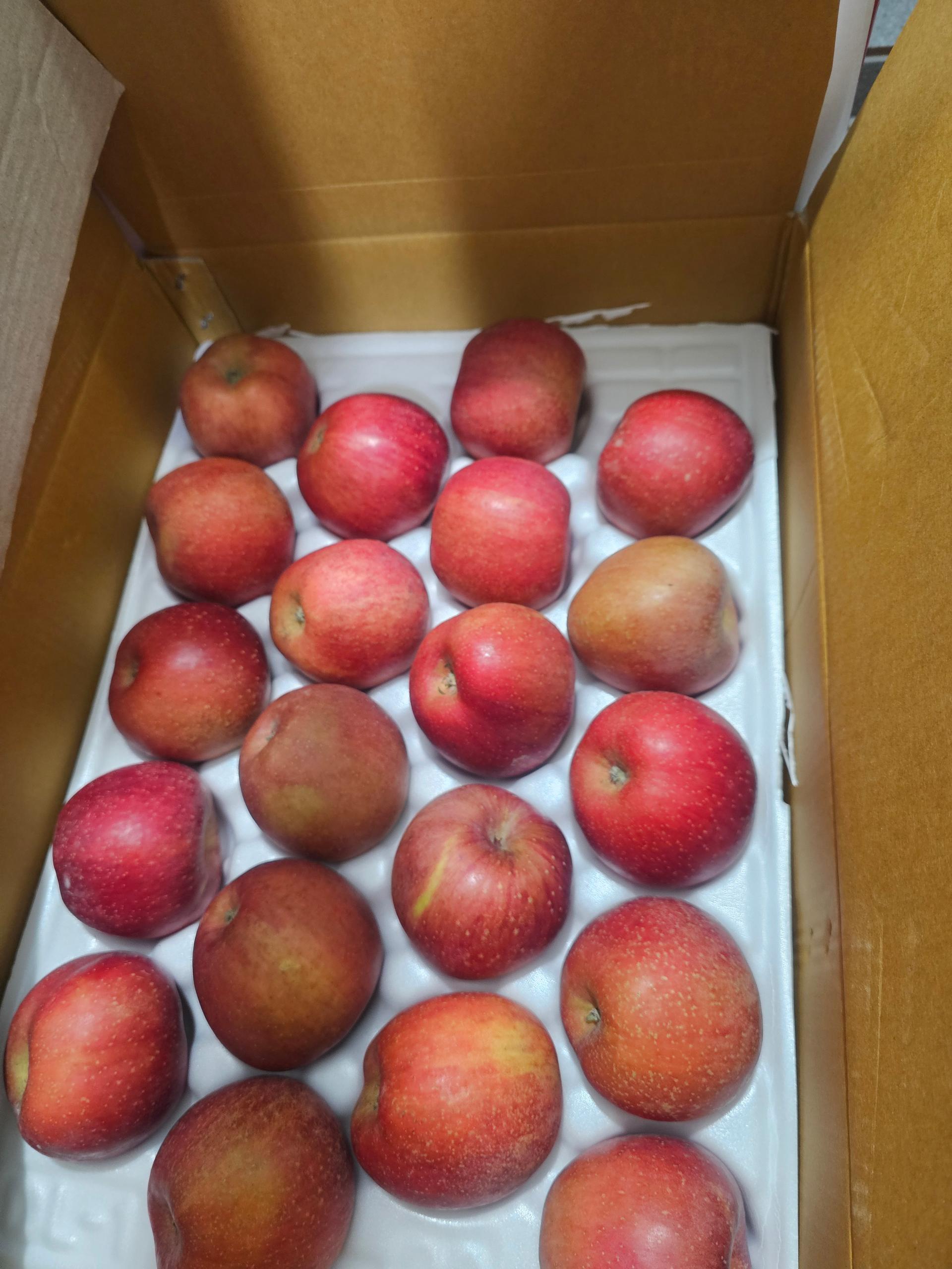 [EVENT] 풍기농협 영주사과 3.5kg + 1kg 추가 증정 이미지