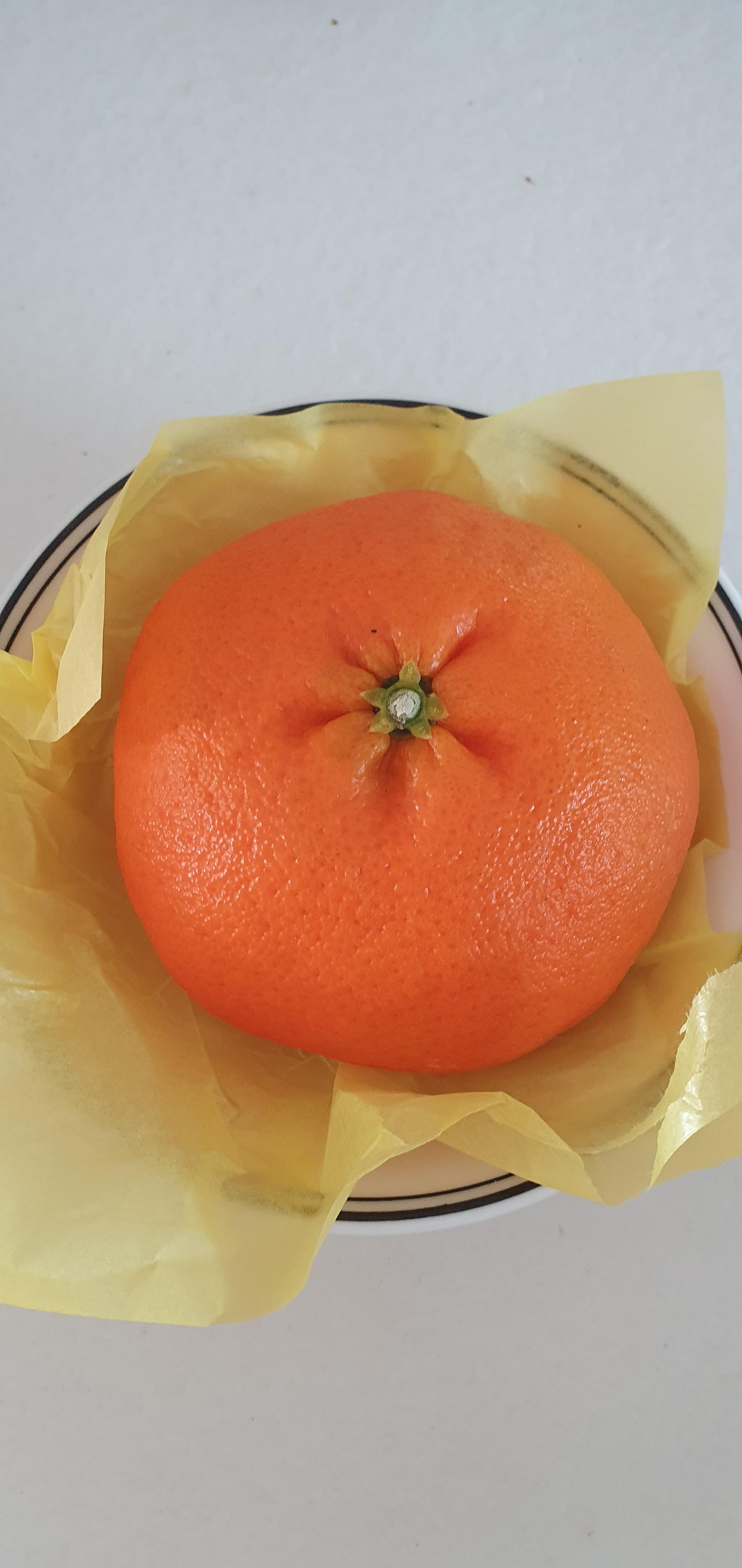 [선착순 1만명] 제주 감귤 2종 세트 (레드향 2.5kg + 선택 1종 2.5kg)