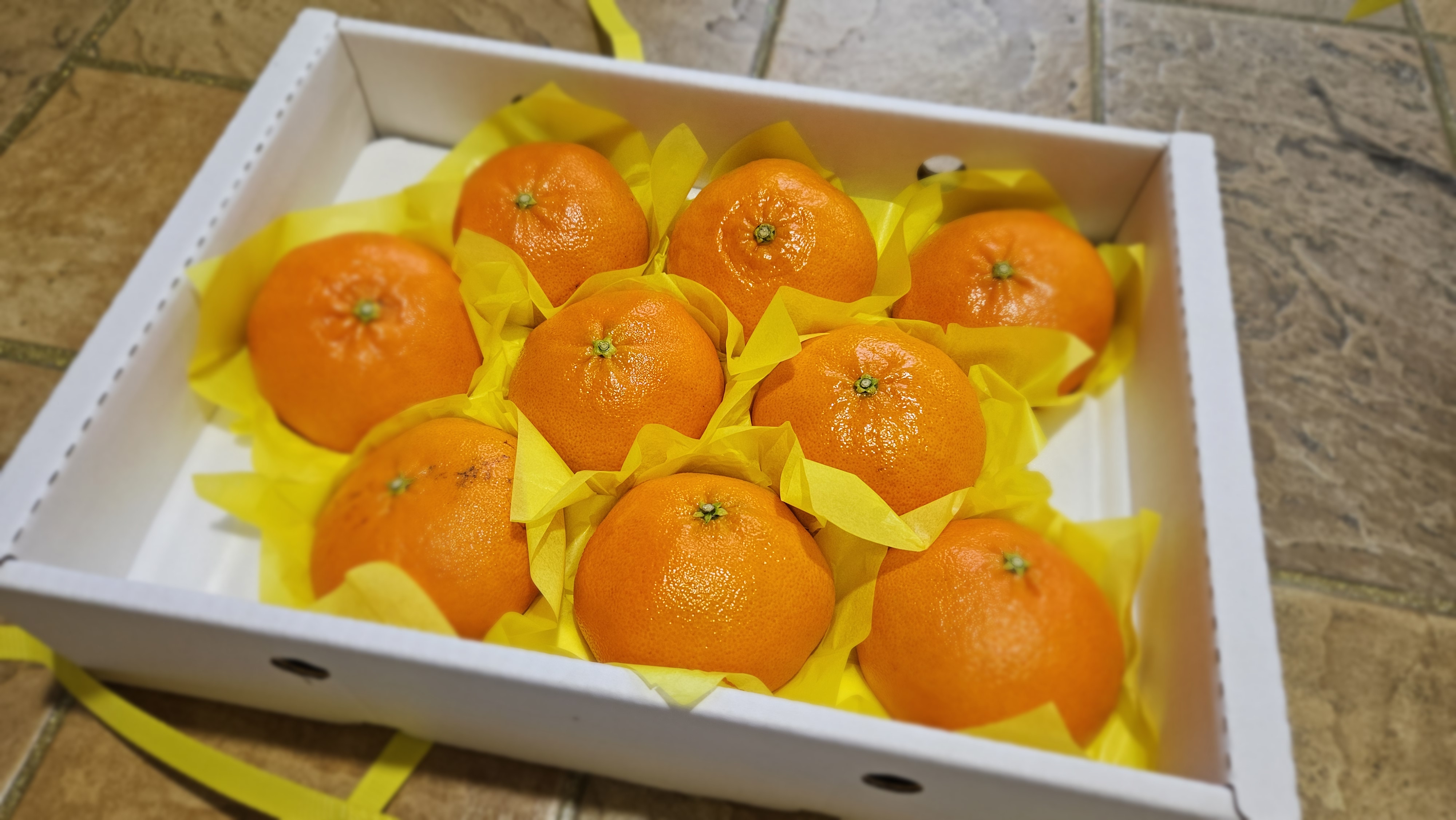 [선착순 1만명] 제주 감귤 2종 세트 (레드향 2.5kg + 선택 1종 2.5kg) 이미지