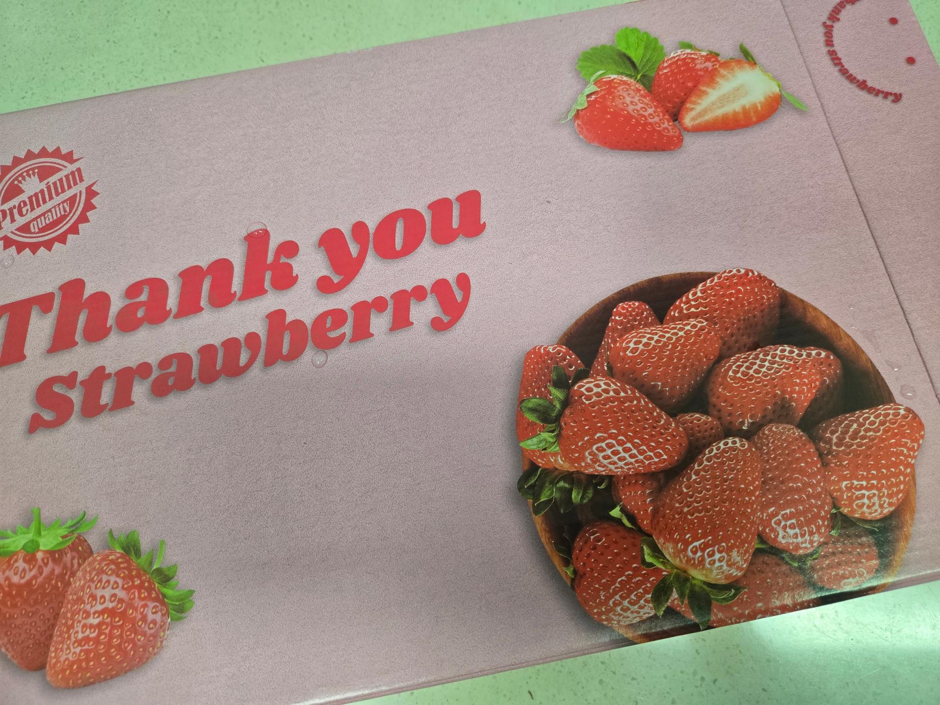 [사전예약] 명품 설향딸기 1.6kg